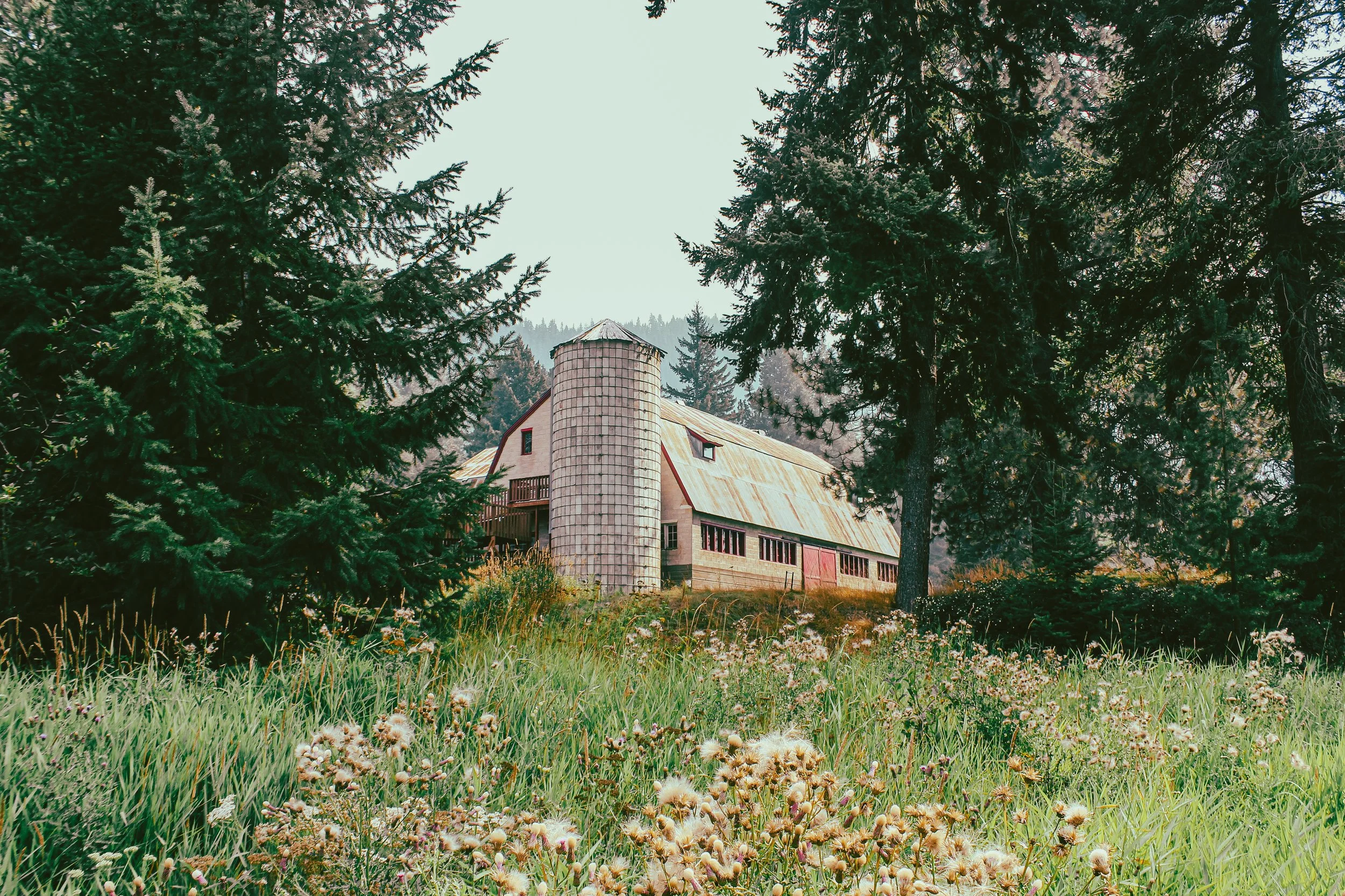 Pine River Ranch Leavenworth Washington wedding