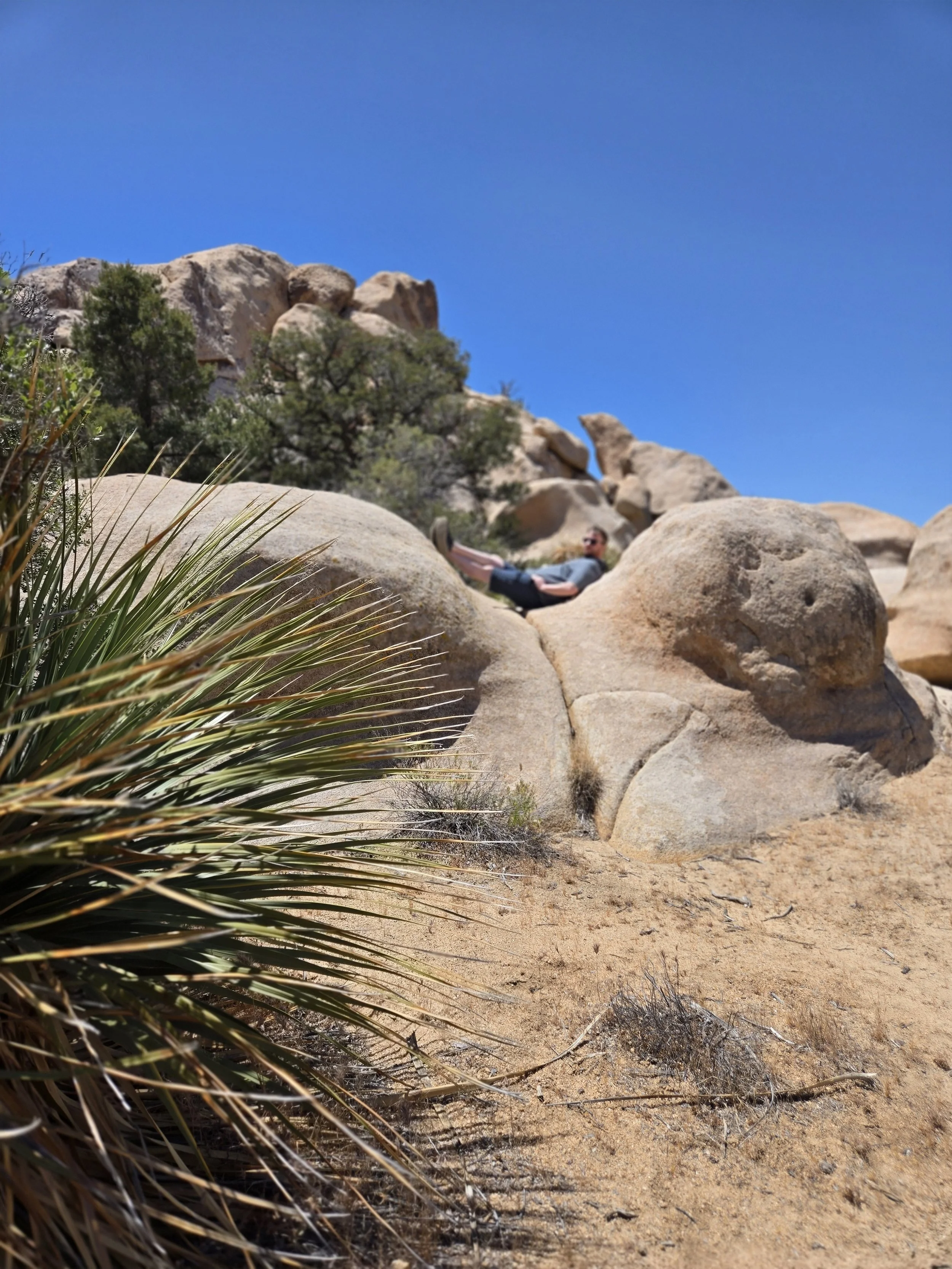 Man sitting on a rock in Joshua Tree National Park