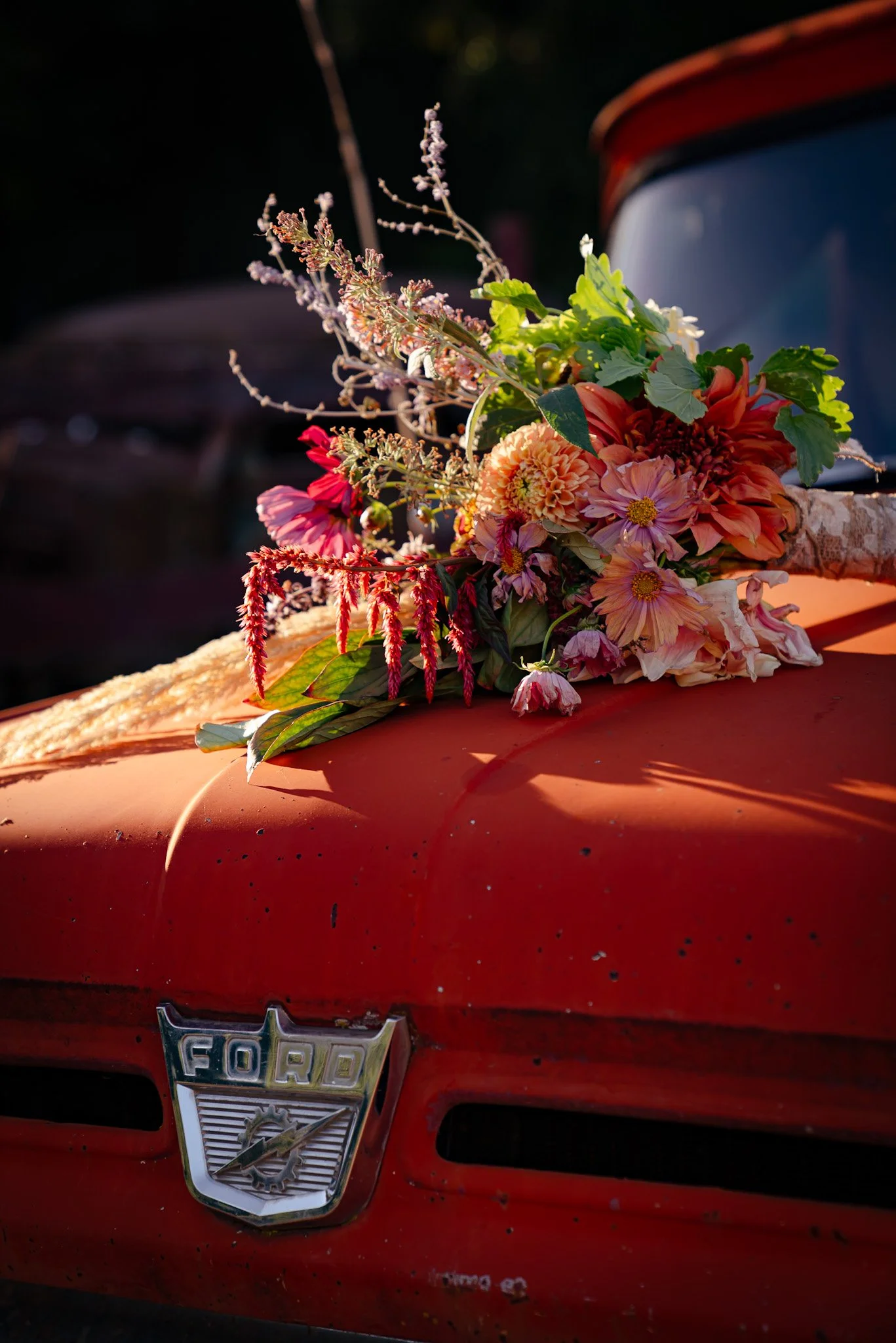 Grants Pass  fall wedding