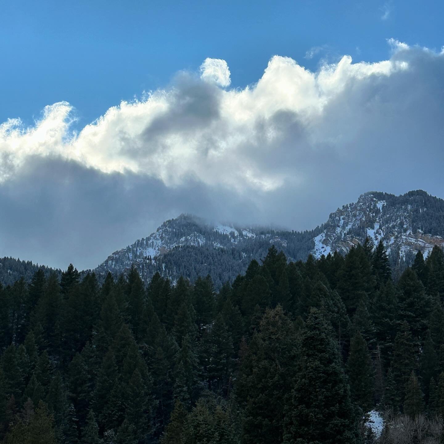 home to the motherland🏔️❄️