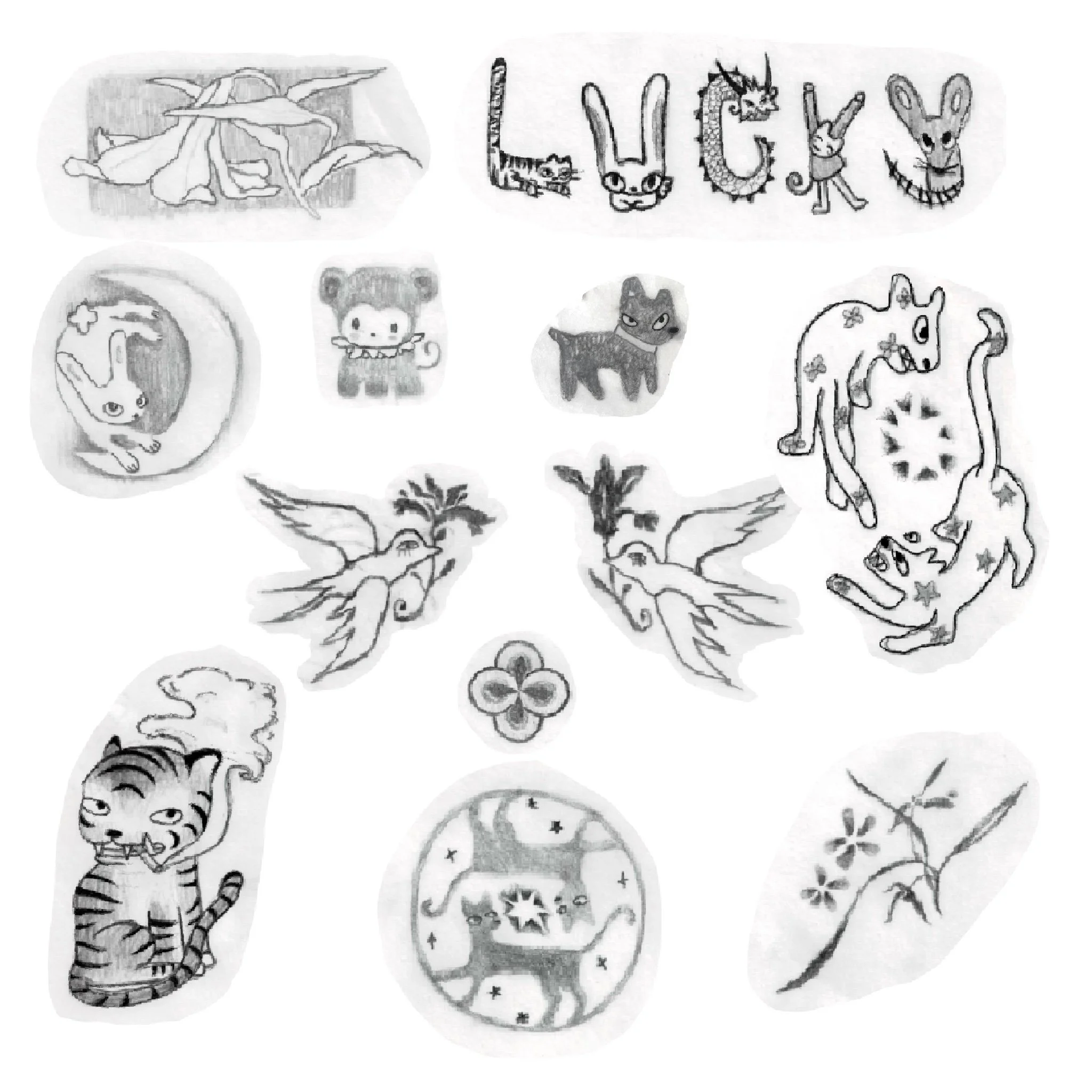 mala project october 2025.jpg