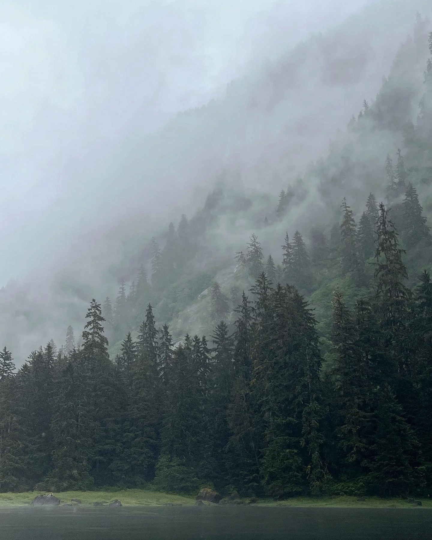 4E780085-CE7E-43F6-9FDE-154EB6691F39 2.JPG