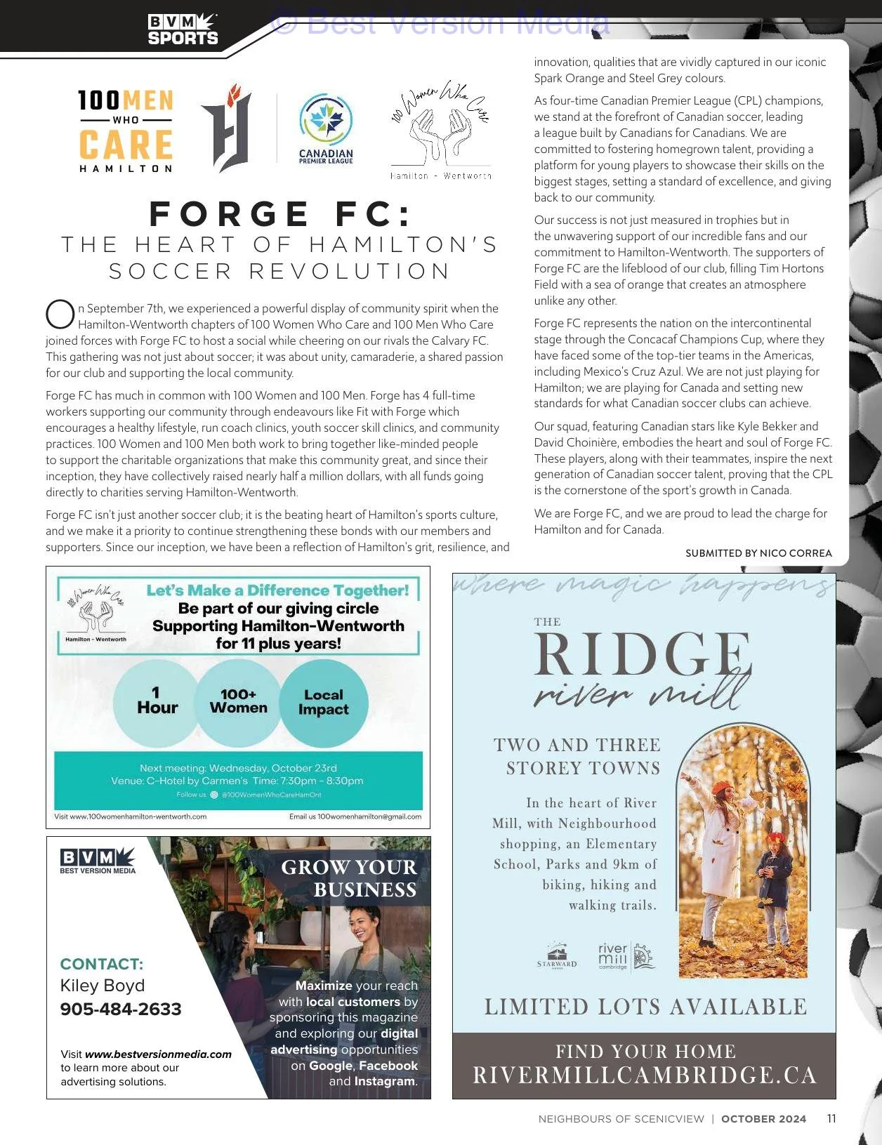 Neighbours of Scenicview Oct 2024.jpg