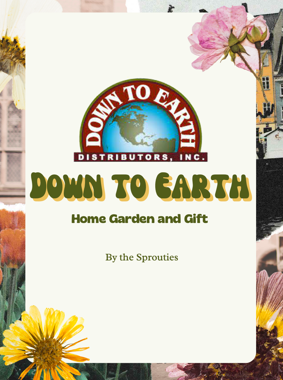 Screenshot 2025-07-23 at 12.33.18 AM.png