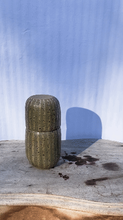IMG_8260.gif