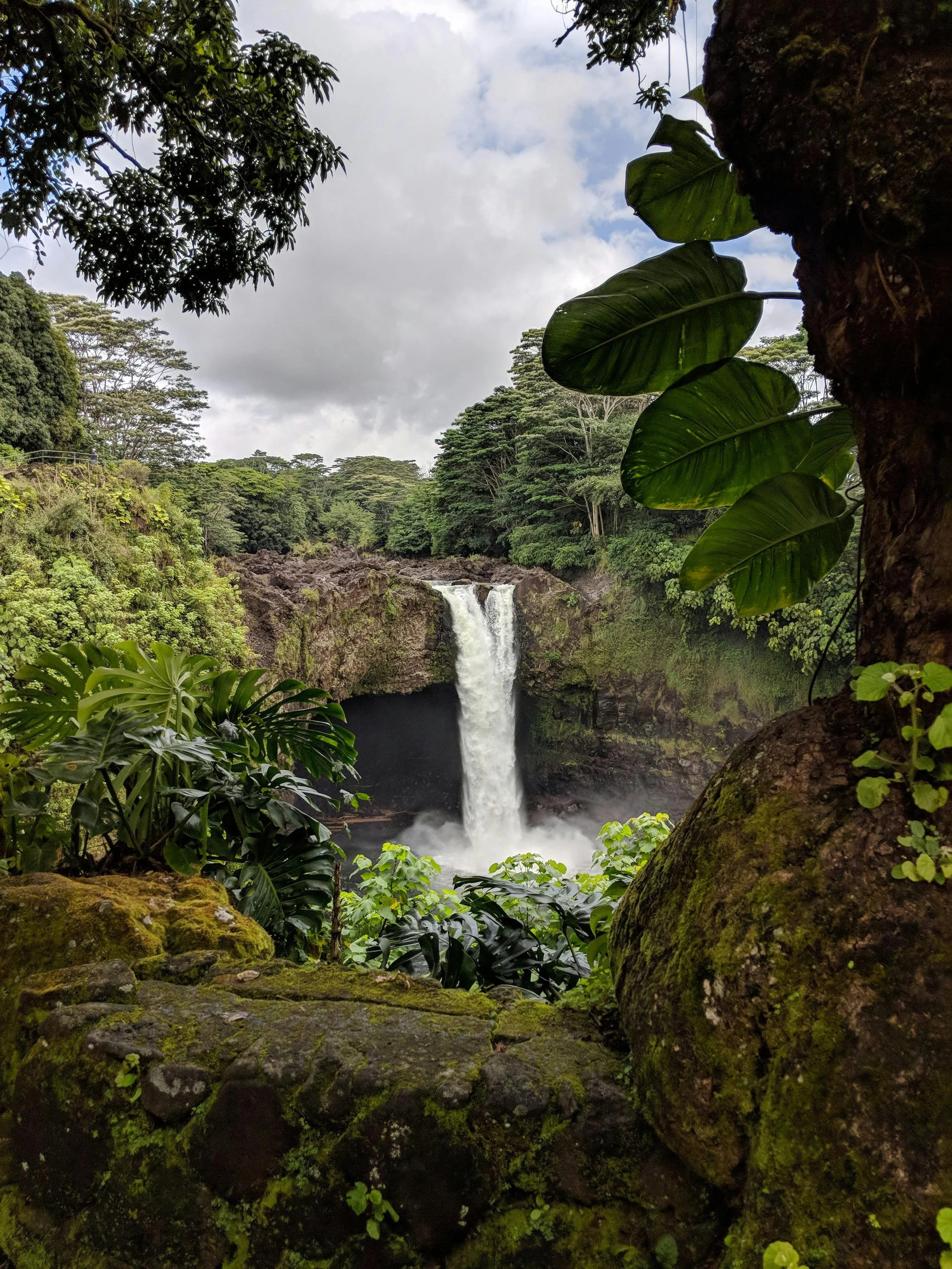 Waterfall Season in Hilo: The Best Spots to Visit in May (No Car Needed)