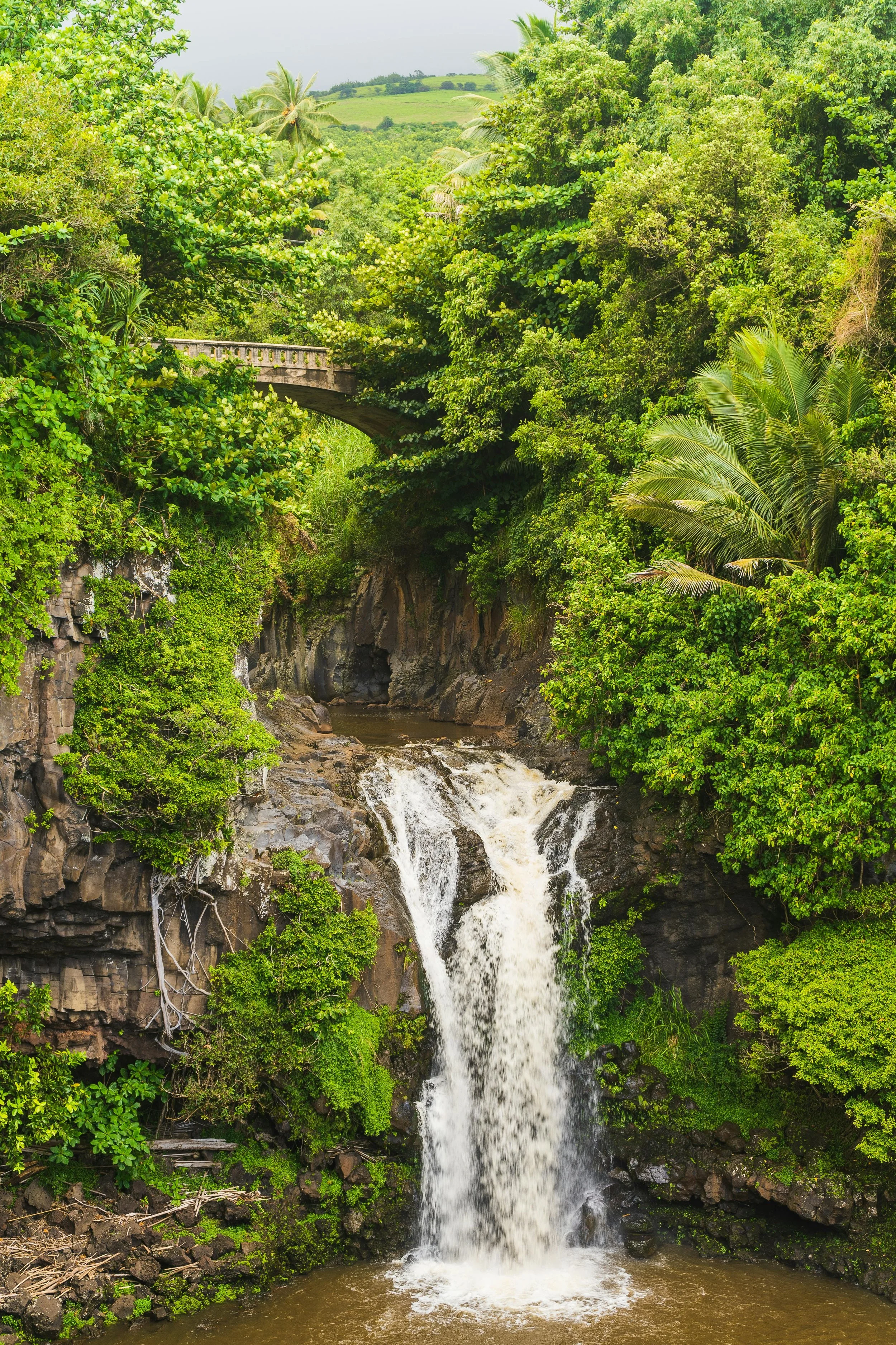 Road to Hana in May: What to Expect + Budget Tips for Backpackers