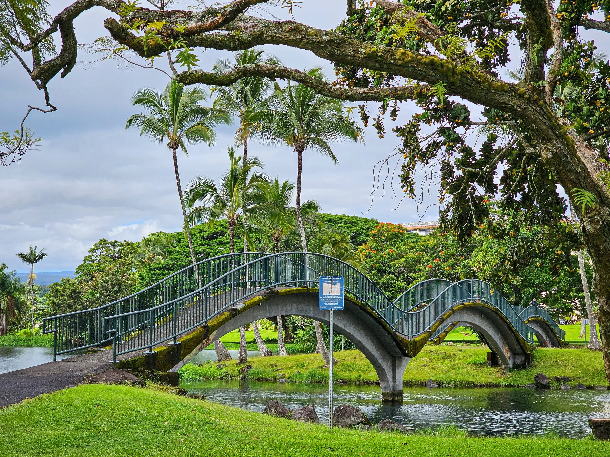 August in Hilo: Why the Big Island's Quietest Stretch Might Be Its Best Weather