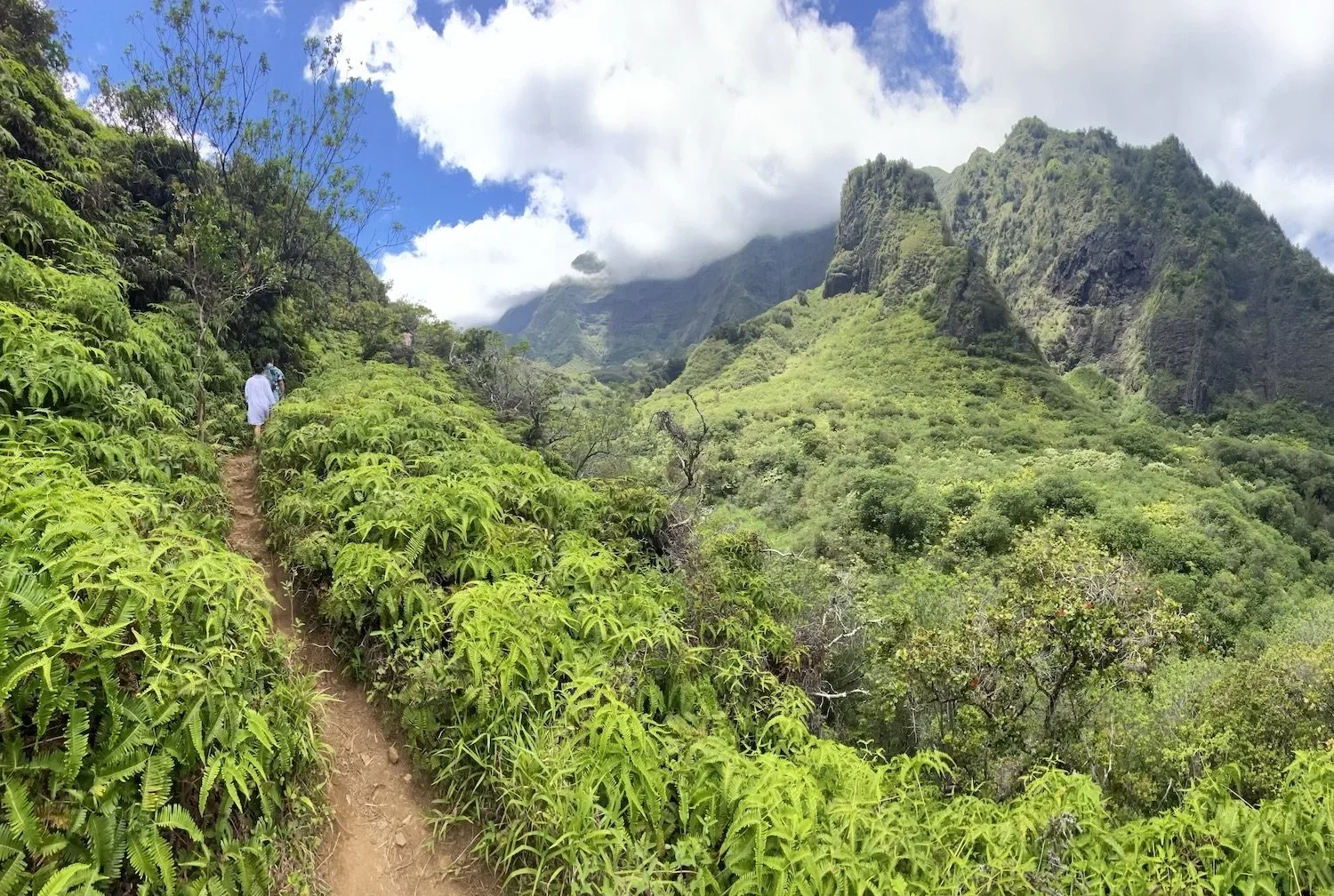 Hikers walking along a narrow dirt trail through lush green tropical vegetation on a mountain with steep cliffs, under a partly cloudy sky.
