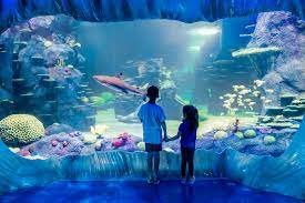 Aquarium