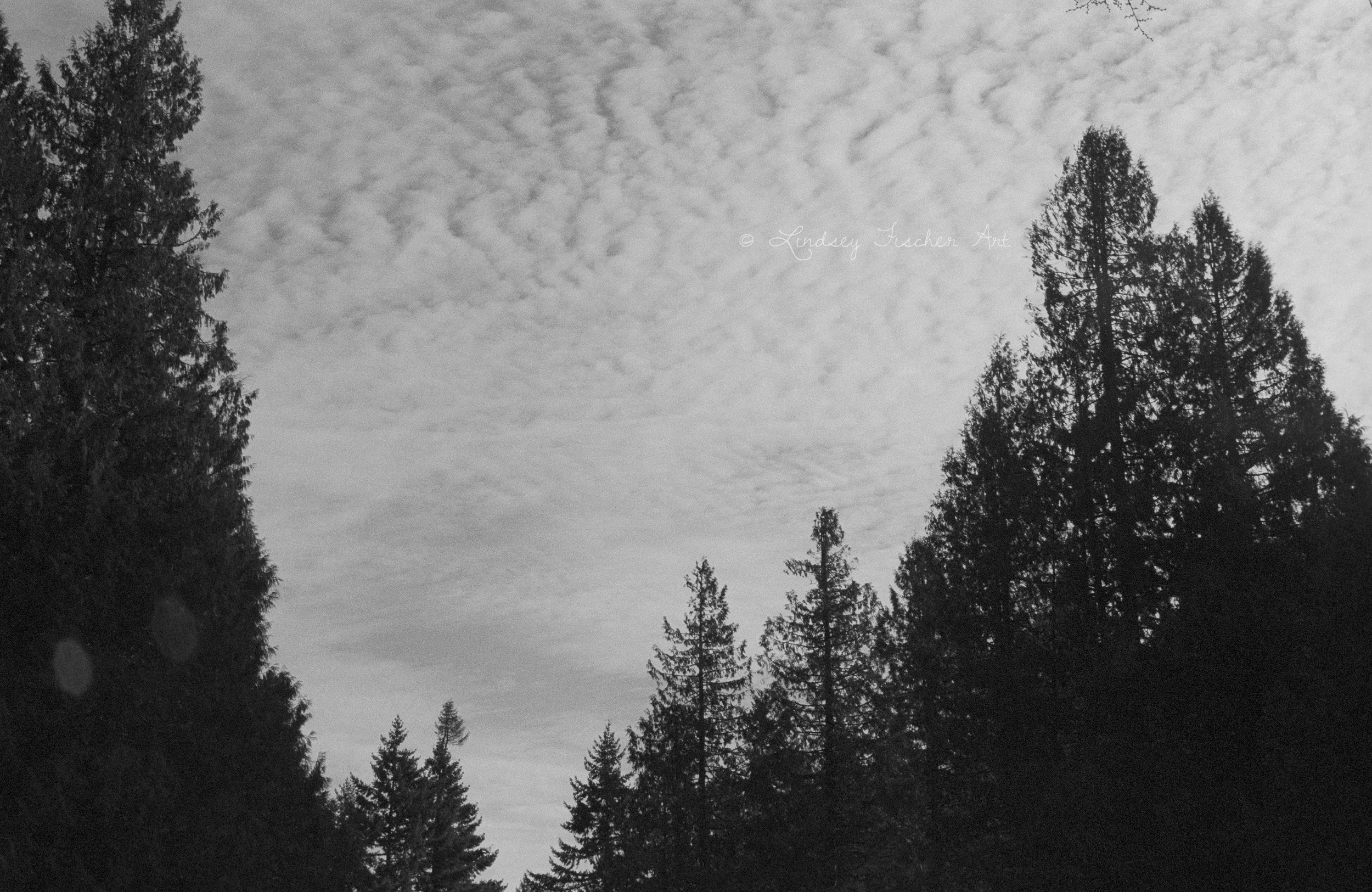 Clouds, 2021