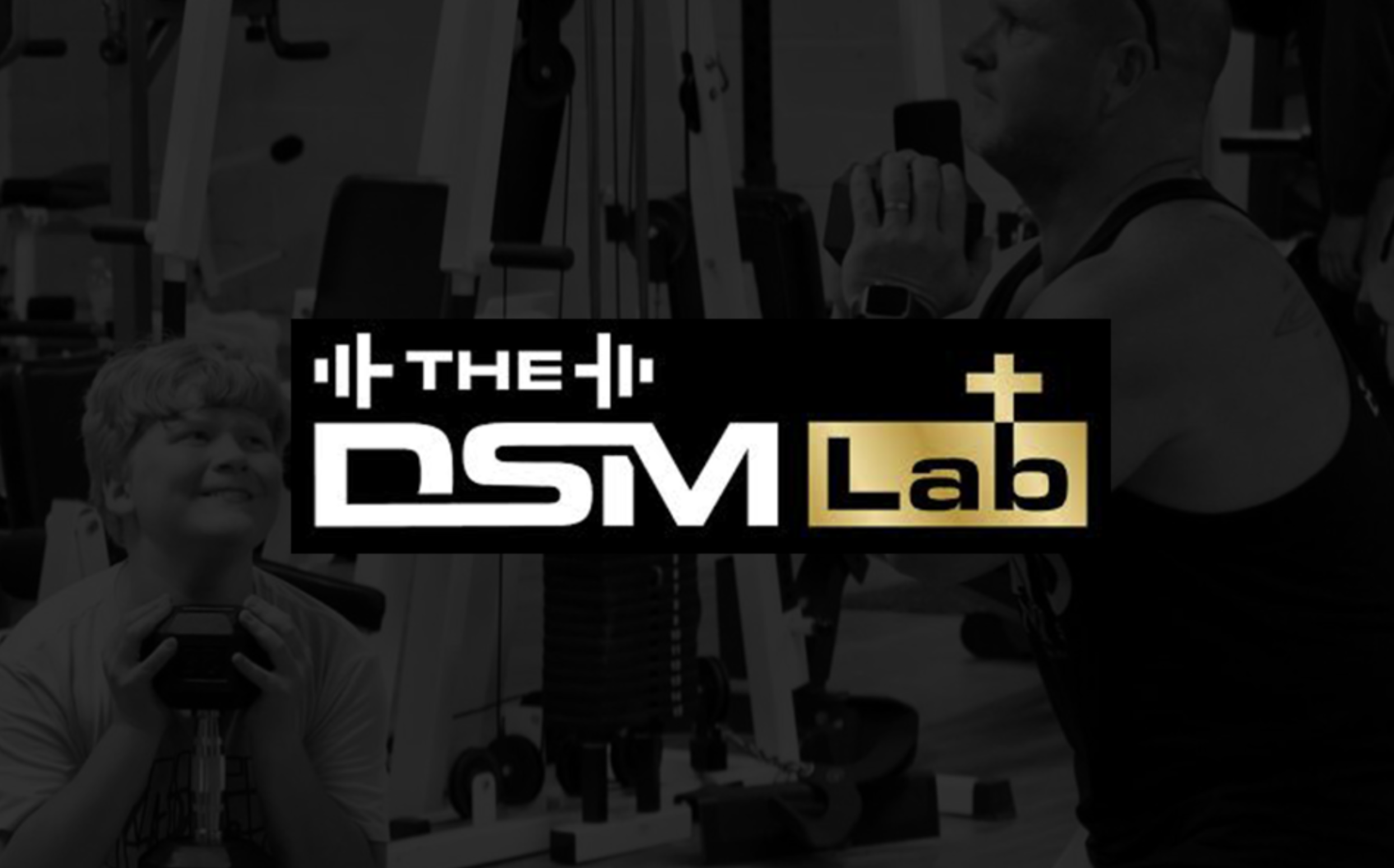 The DSM Lab logo