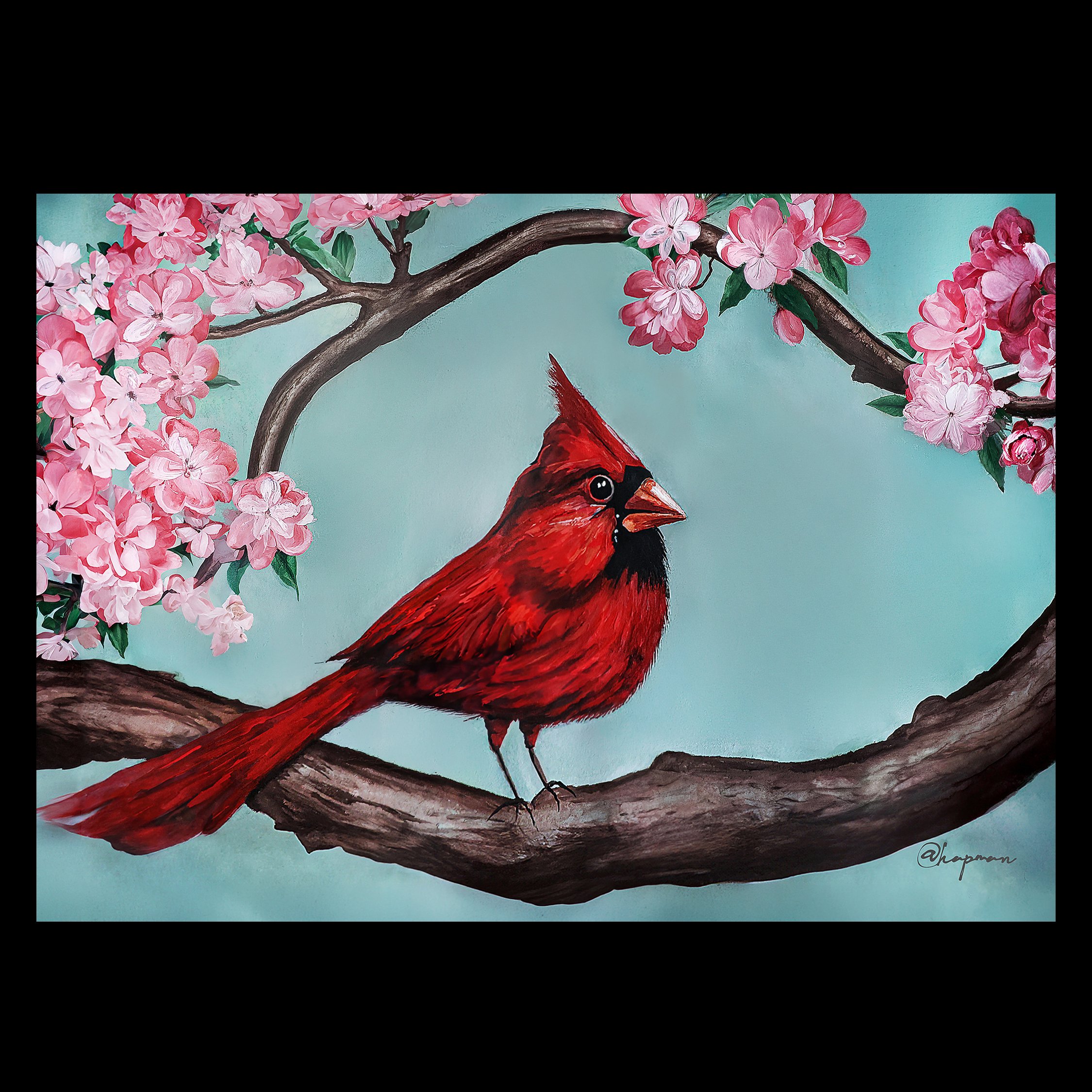 RED CARDINAL 5X7 promo2.jpg