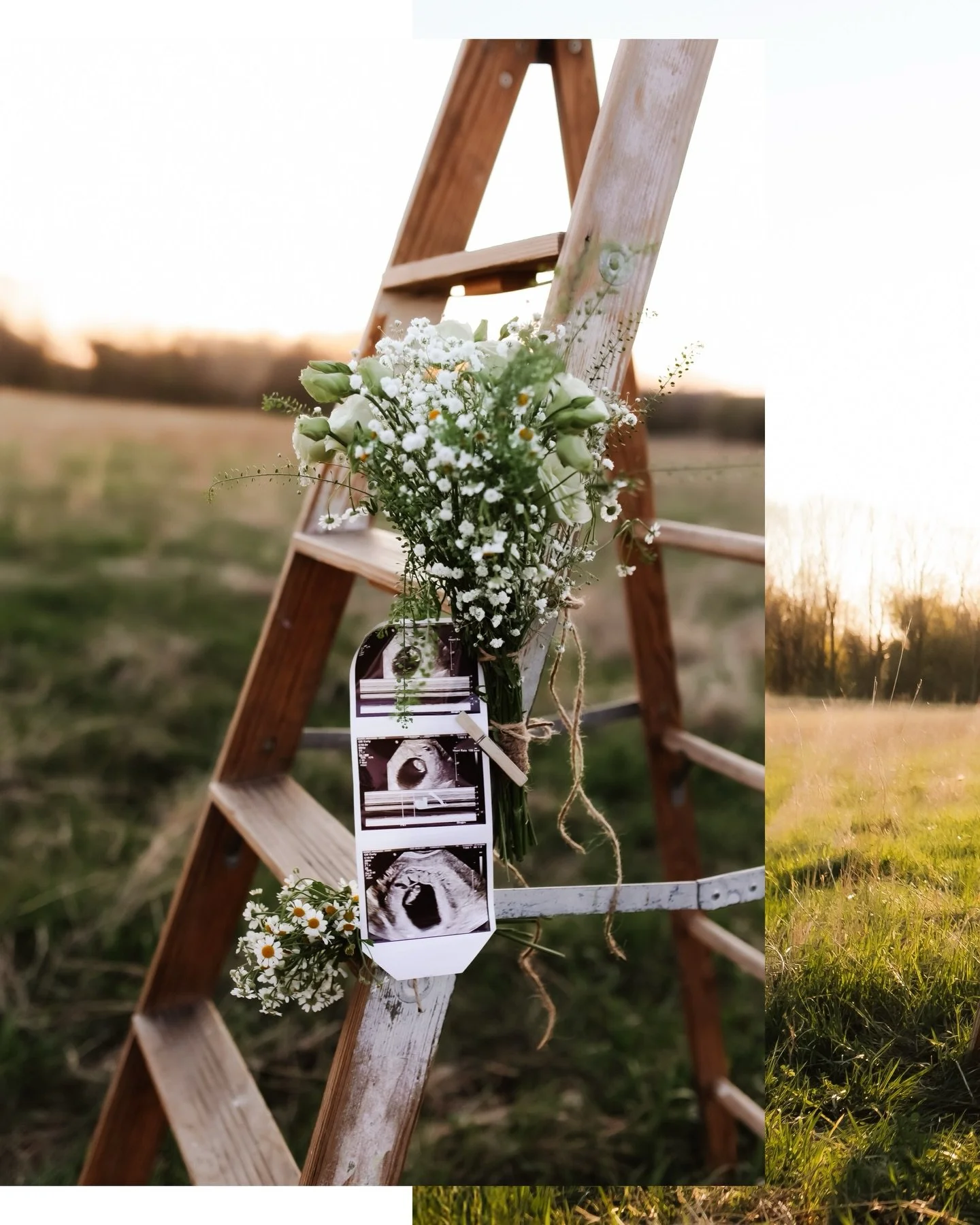 So beyond excited to share this announcement 🥹

#iowafamilyphotographer #cedarfallsphotographer #iowaphotographer #pregnancyannouncement #maternitysession