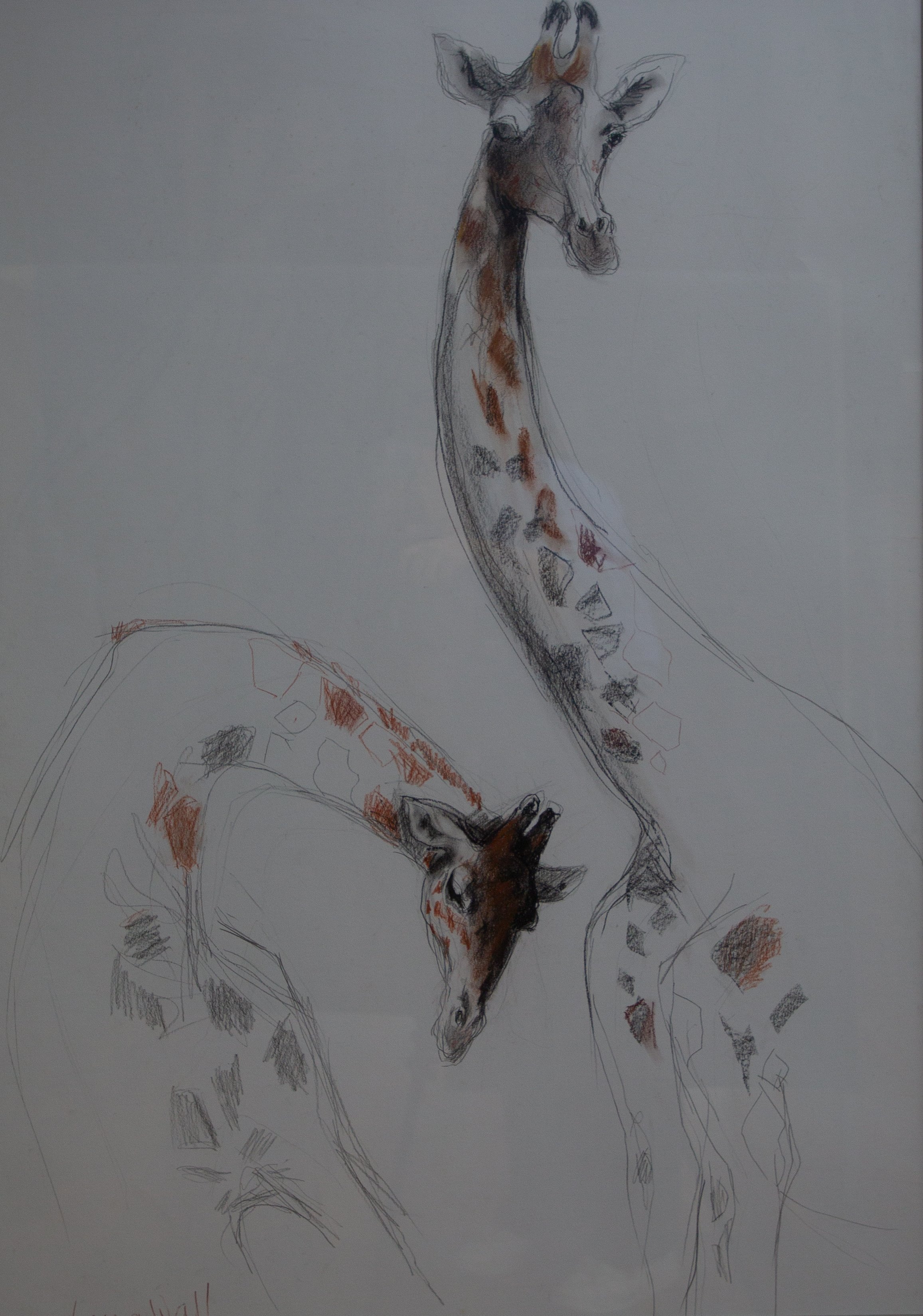 PENCIL PEN AND INK 2ND: 5037 LORNA WALL “GIRAFFE’S RITUAL”