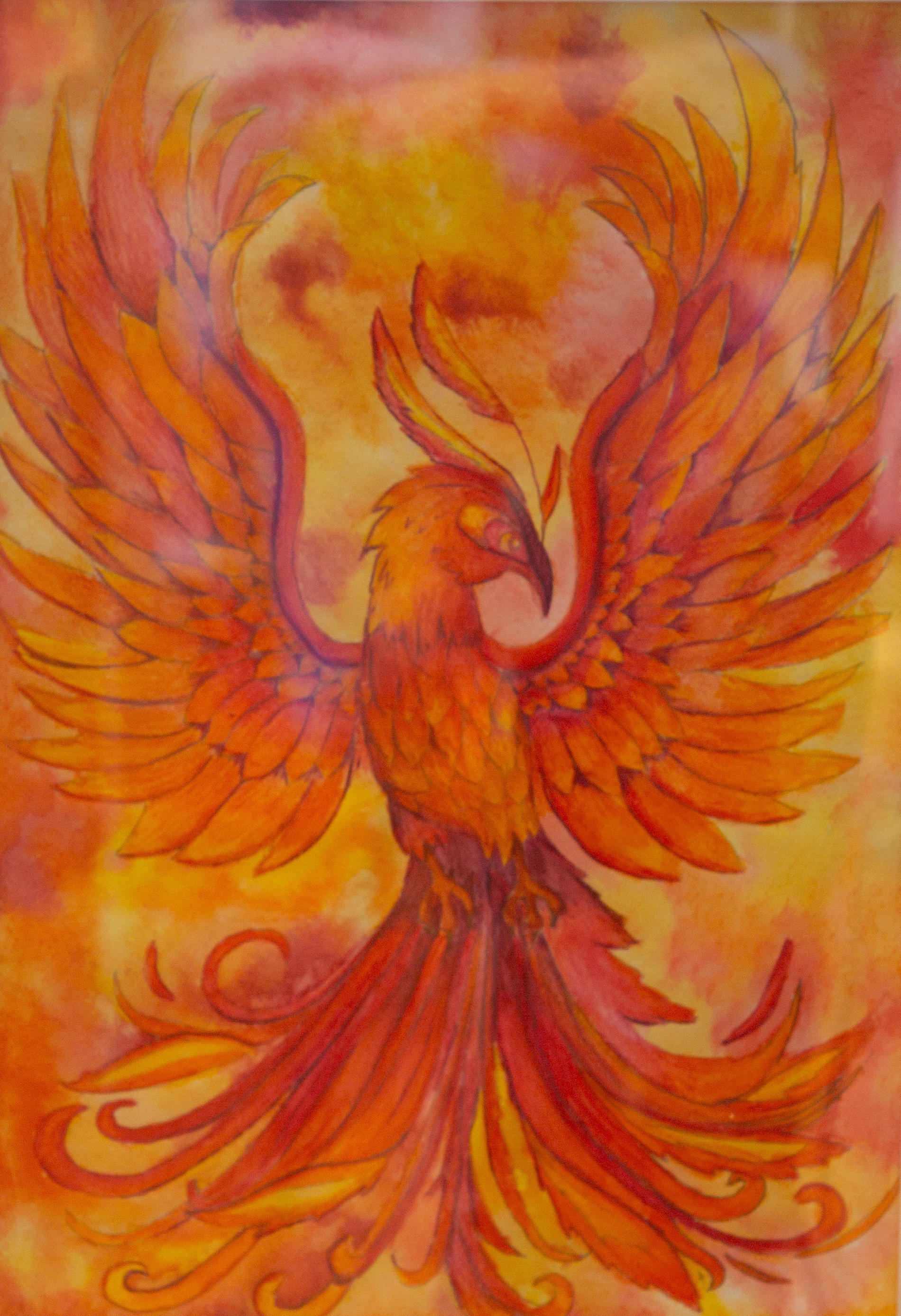 YOUTH 8-12 YEARS HIGHLY COMMENDED: 12004 SOPHIA CRAM “FIRE BIRD”