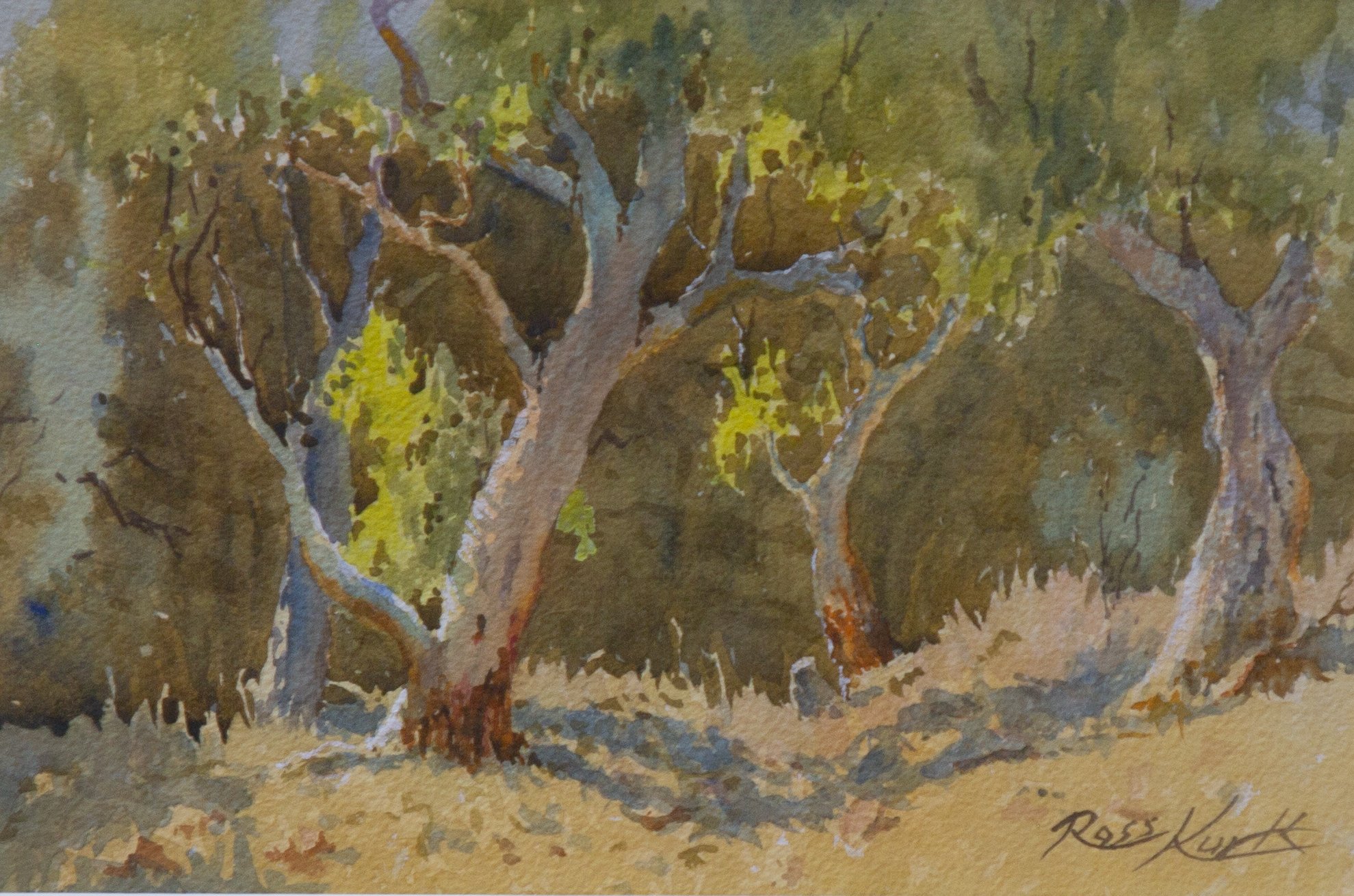 WATERCOLOUR COMMENDED: 2034 ROSS KURTZ “WILLOWVALE MORNING”