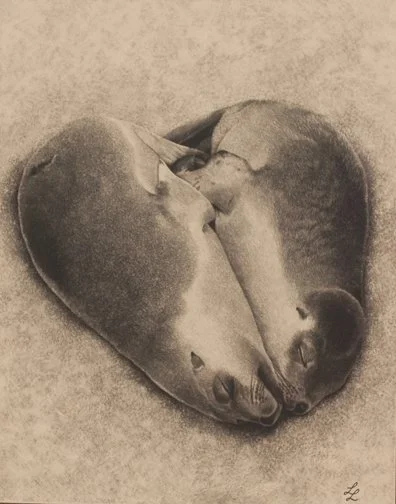 “SNUGGLE BUDDIES” LINDA LUNNON