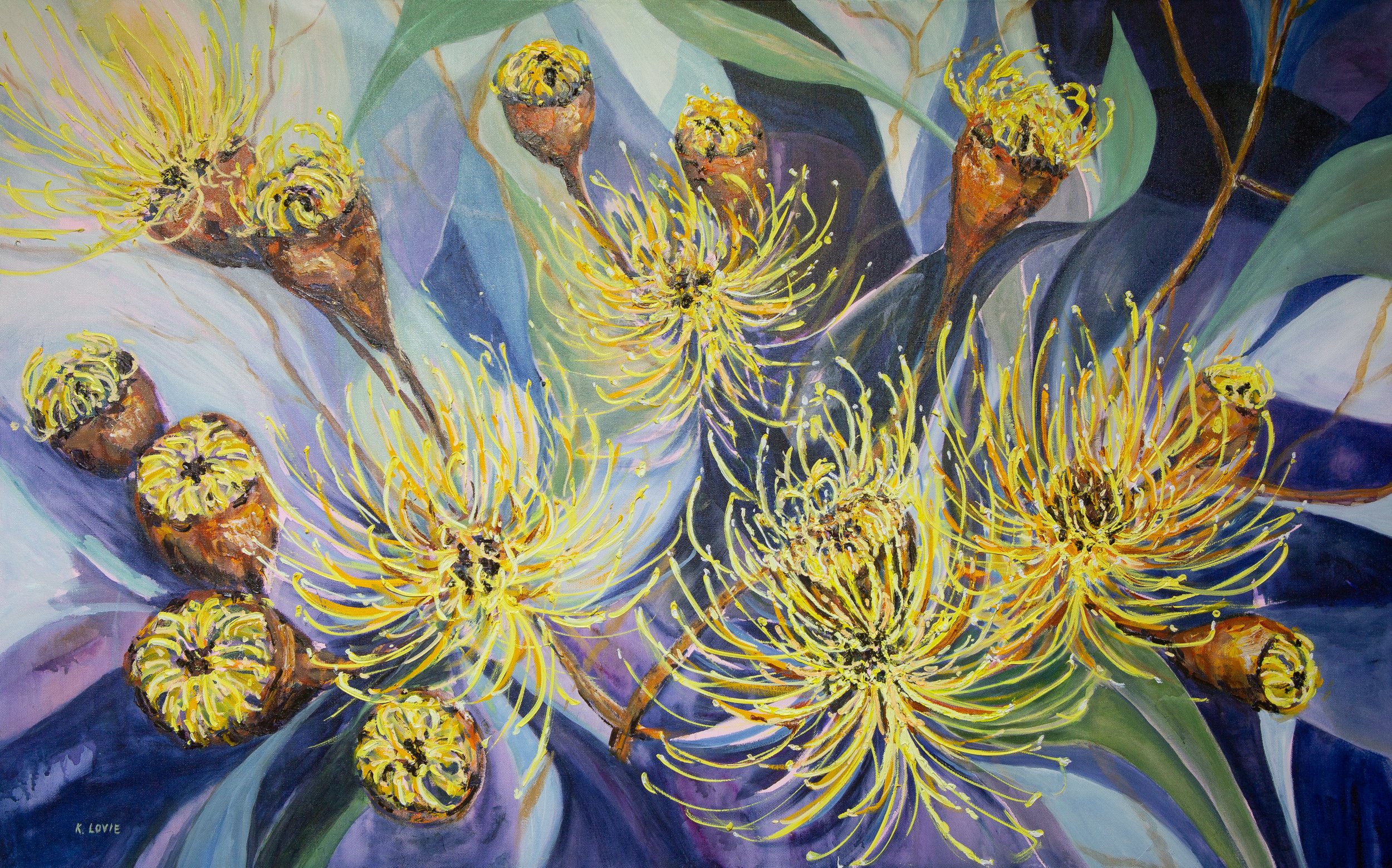 FLOWERS HIGHLY COMMENDED: 6033 KAY LOVIE “GUM BLOSSOMS”