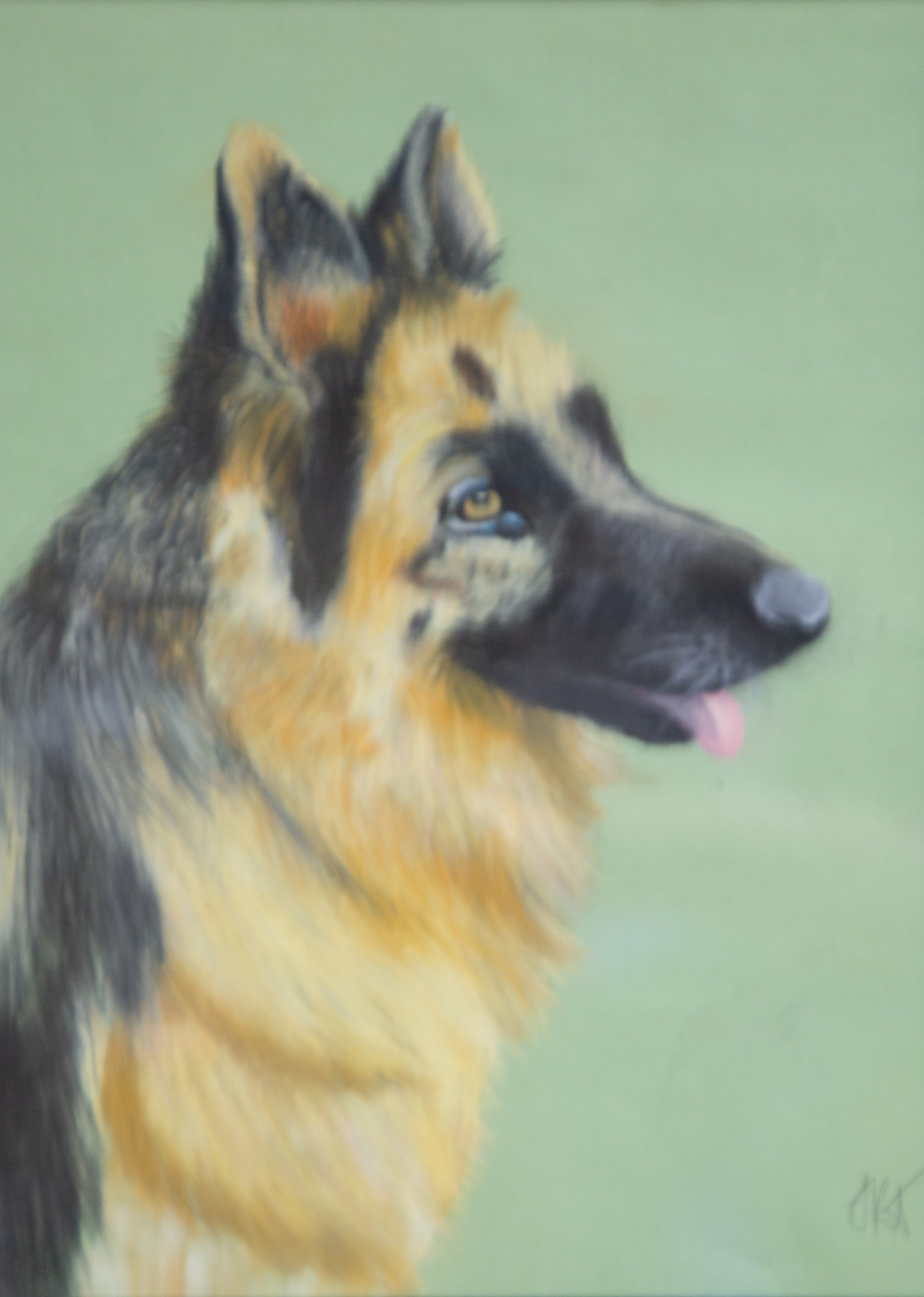 YOUTH 13-15 YEARS 3RD: 11017 SUMMER TAYLOR “A SHEPHERD’S GAZE”