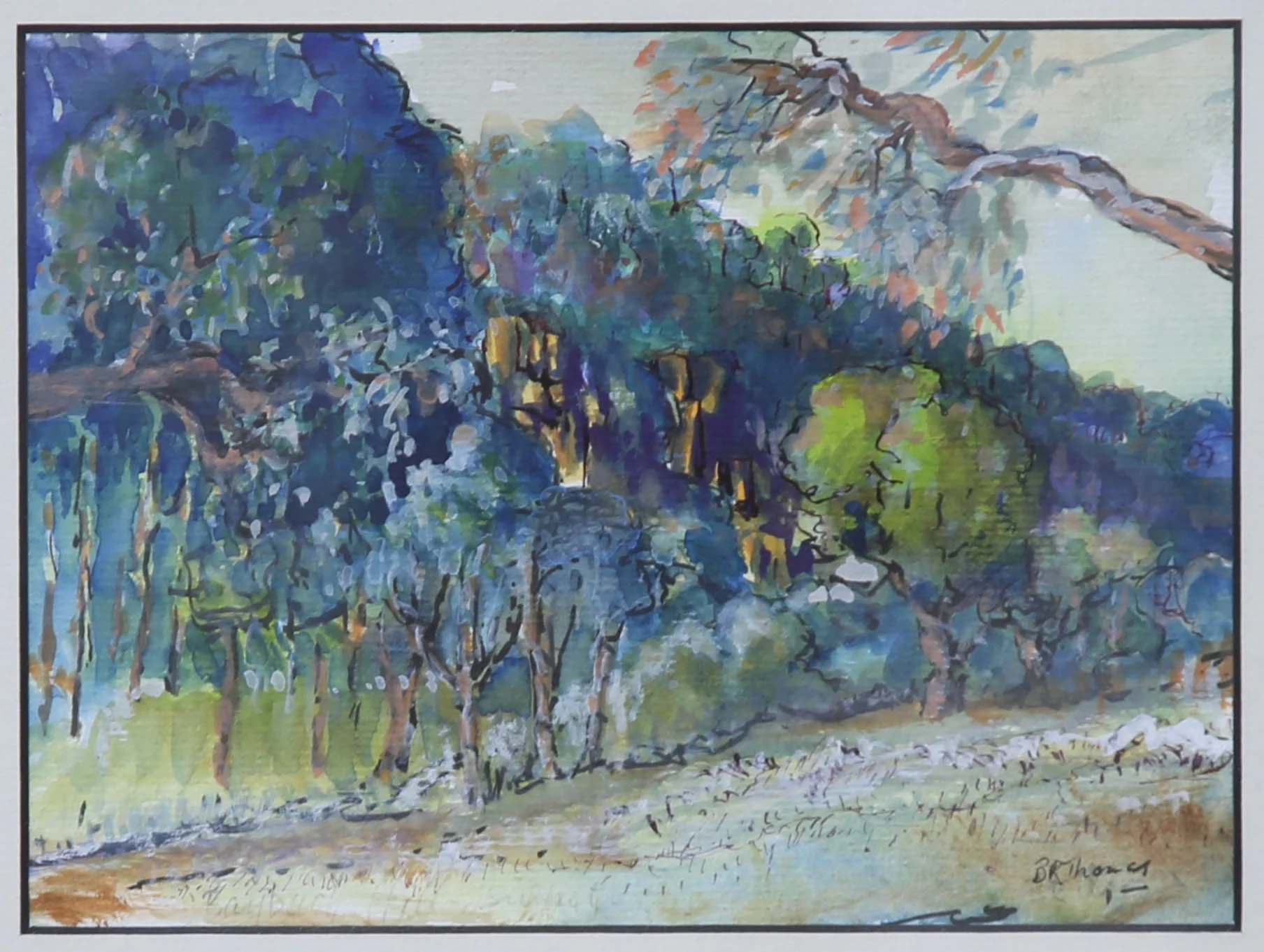 WINNER WATERCOLOUR - AFTERNOON LIGHT, BAYBUCK HILL BY BARRY THOMAS