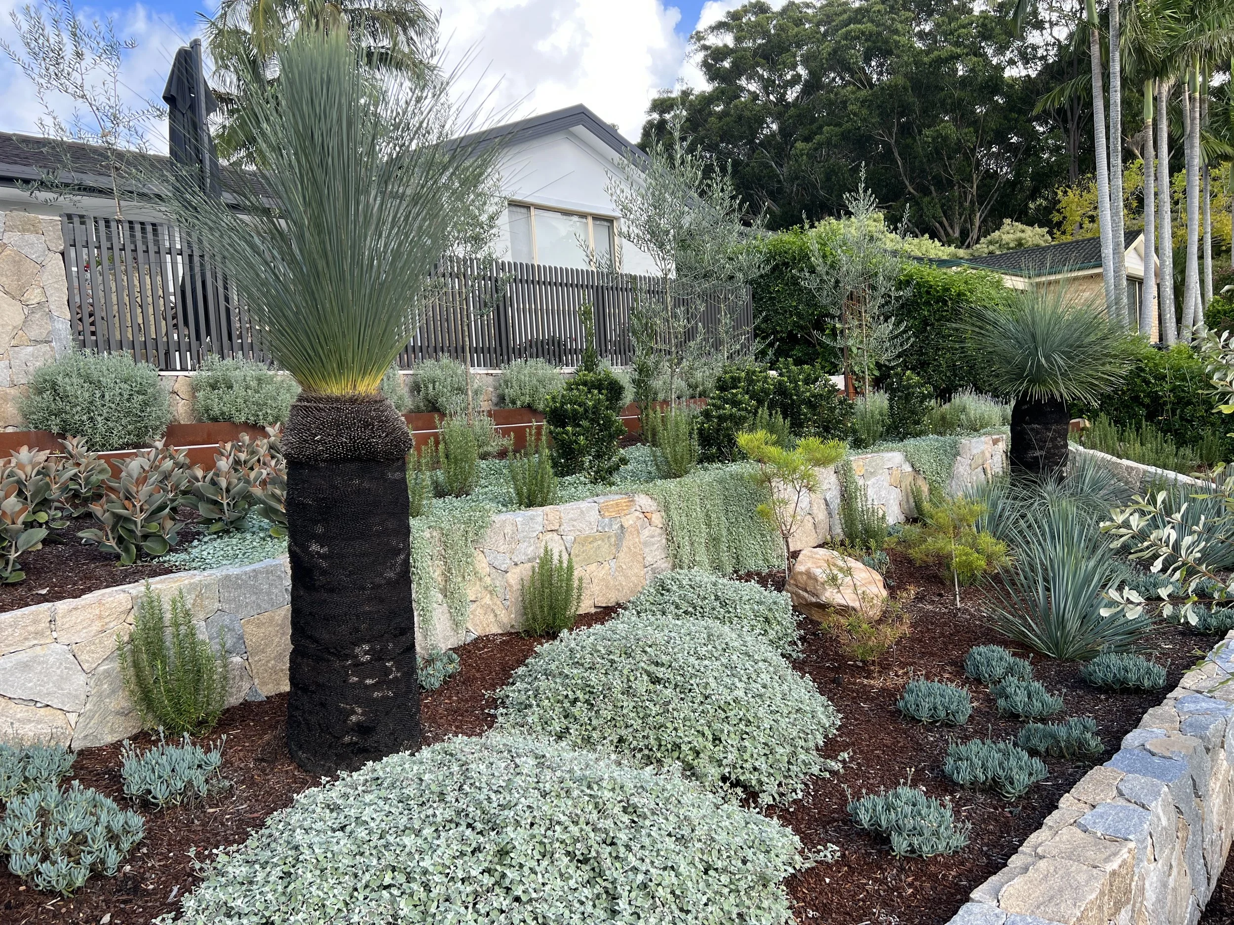 A landscaped garden with various drought-tolerant plants, shrubs, and trees, featuring large ornamental grasses in black pots and a stone retaining wall, with a modern house in the background and a partly cloudy sky overhead.