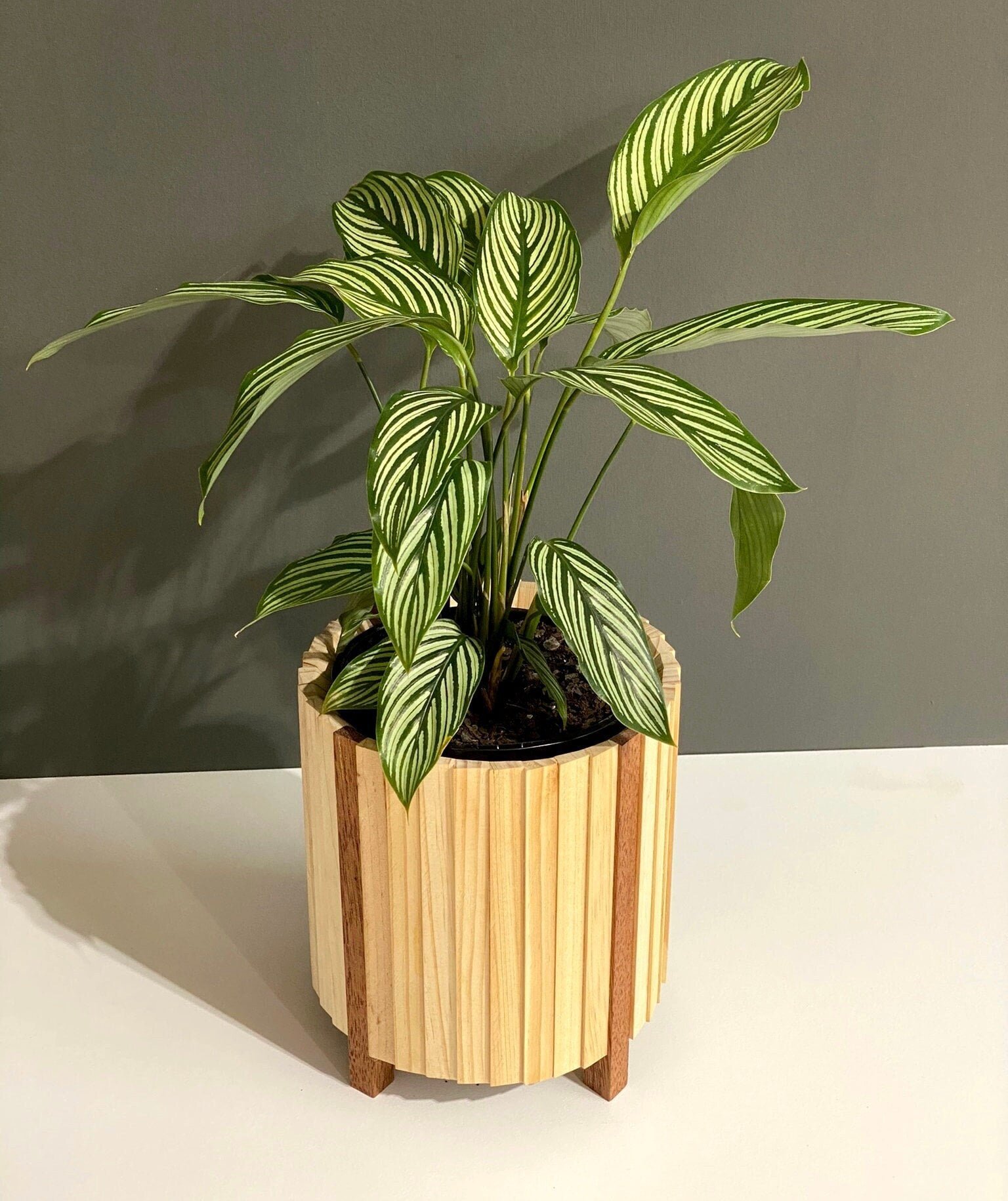 https://i.etsystatic.com/40814979/r/il/b82a32/5263529553/il_fullxfull.5263529553_rlo3.jpg