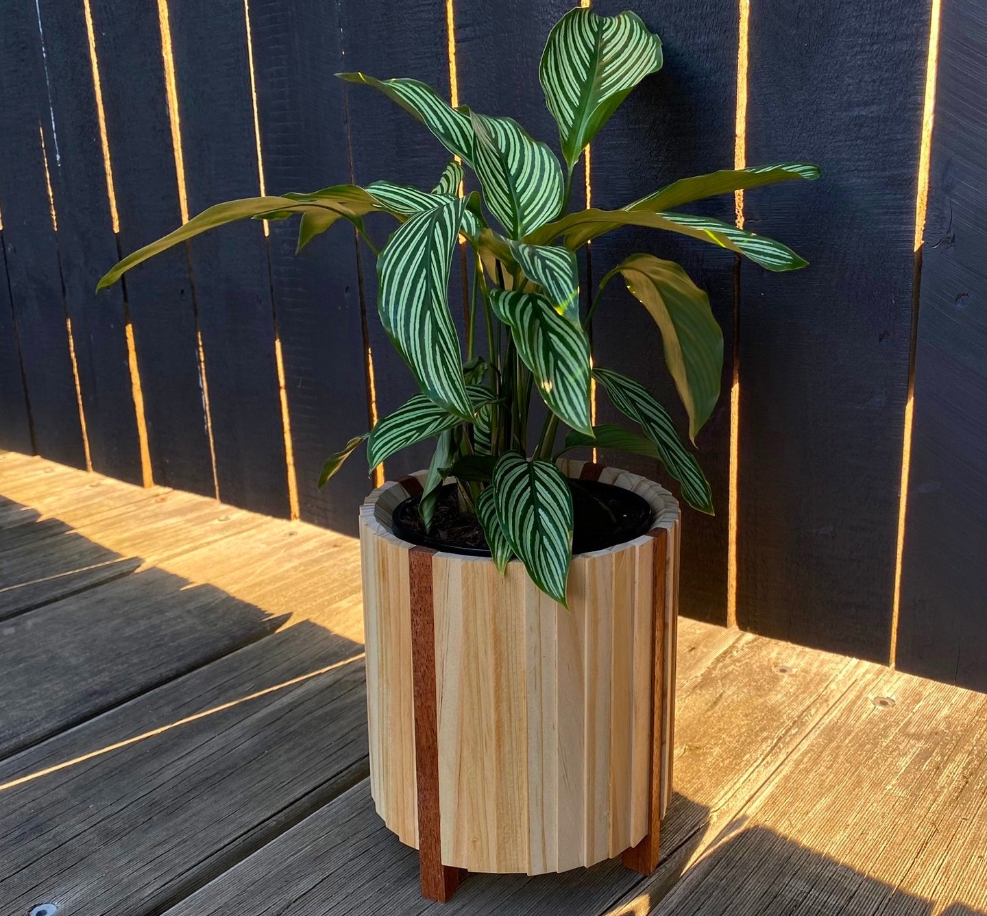 https://i.etsystatic.com/40814979/r/il/337c72/5263525065/il_fullxfull.5263525065_gx8z.jpg