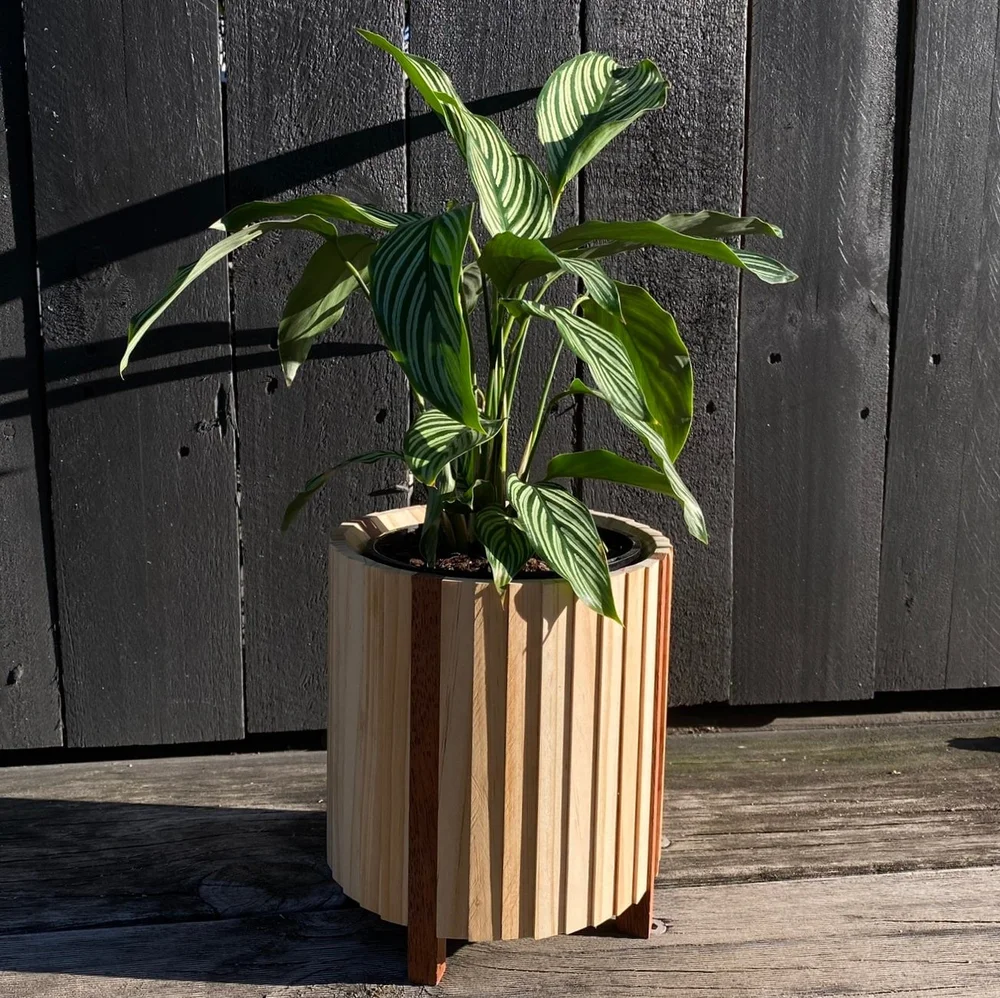 Wood Plant Stand 130mm for indoor house plants