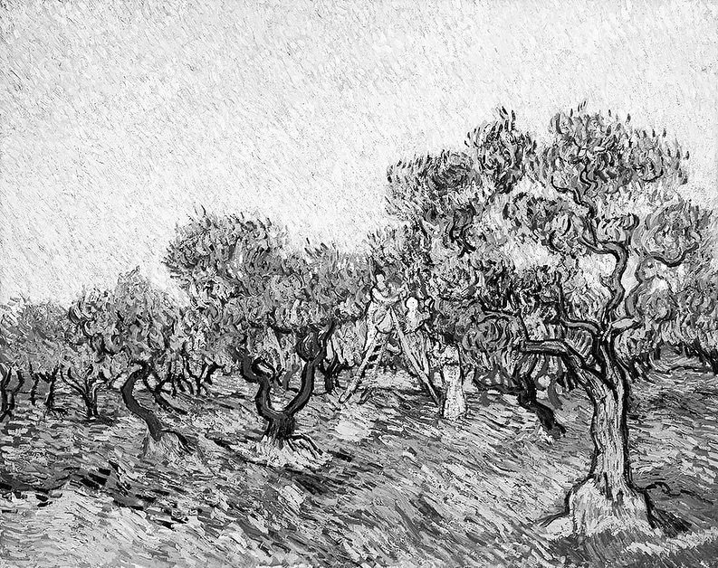 Art Case Update 🖼️

The heirs of German-Jewish collectors Fritz and Hedwig Stern have filed a lawsuit in New York asking for the return of Vincent van Gogh&rsquo;s&nbsp;Olive Picking (1889). They claim the painting, now owned by the Basil &amp; Elis