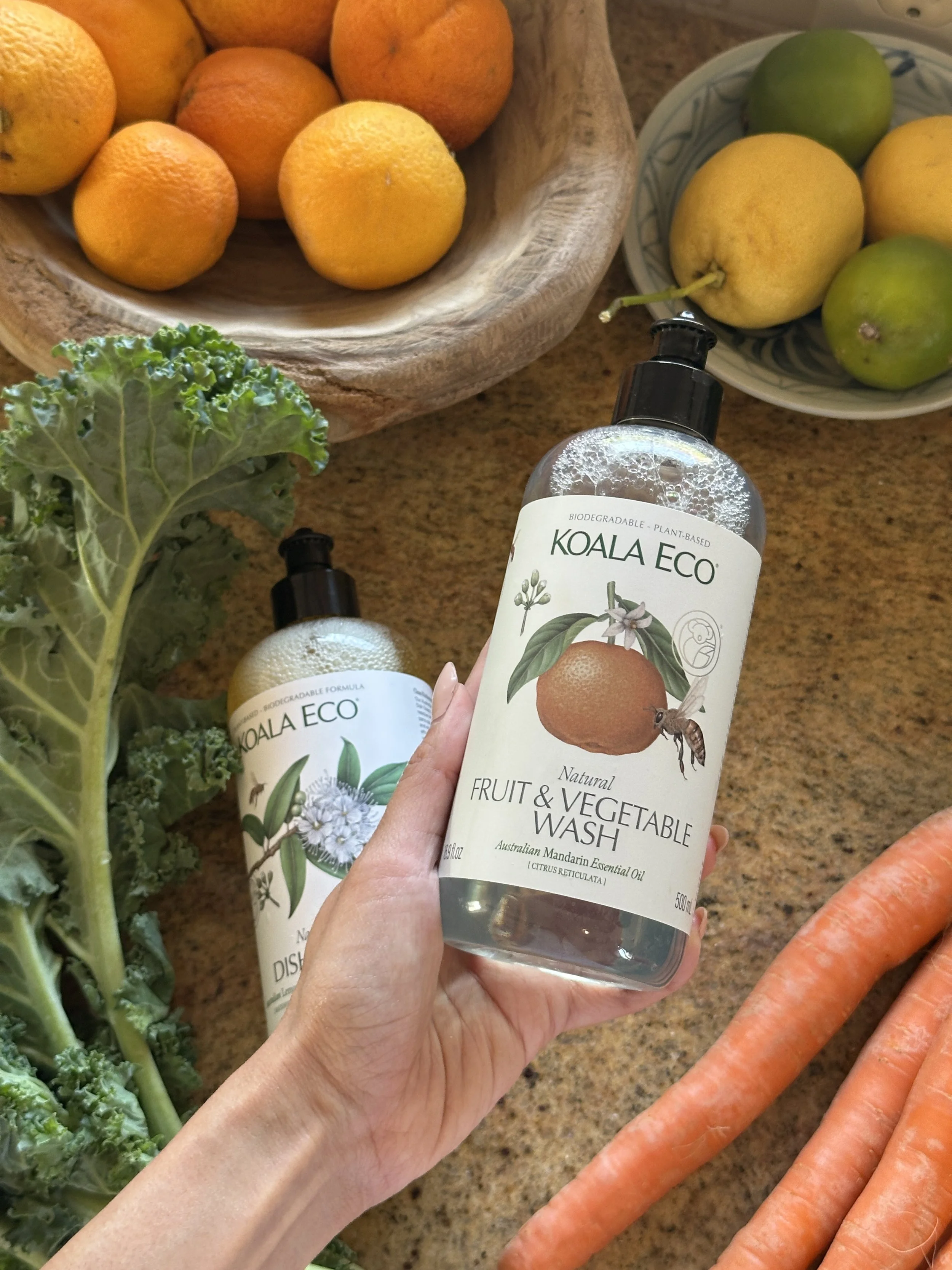 KOALAECO_Natureandintent.JPG
