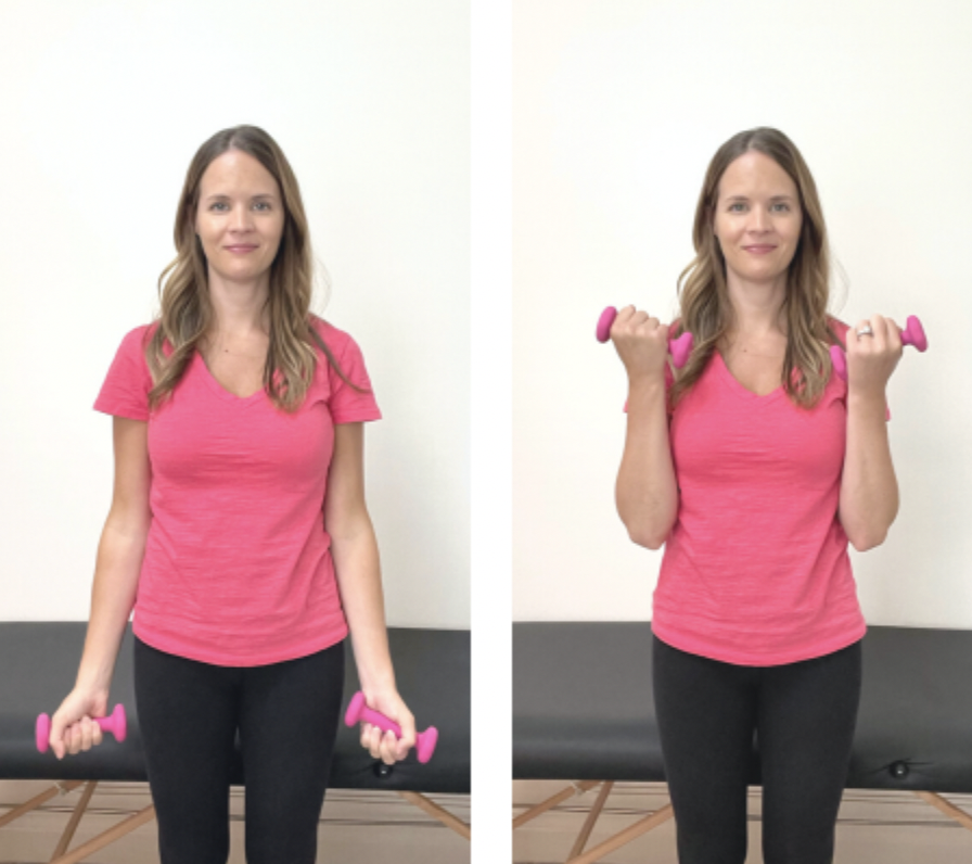 A woman in a pink shirt demonstrates a bicep curl exercise with pink dumbbells, standing before a bench—an example of exercises for breast lymphedema—first with arms down, then elbows bent and weights lifted.