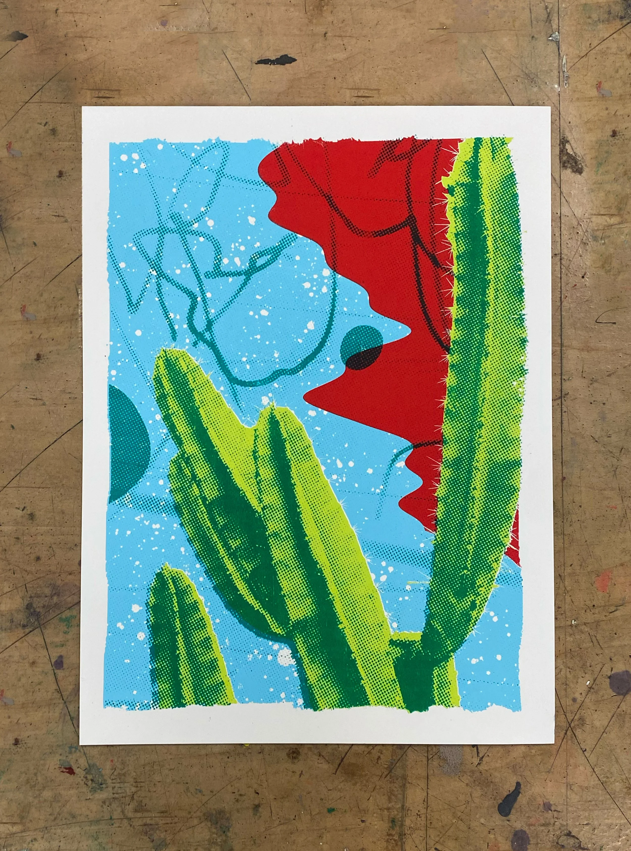 Cactus.jpg