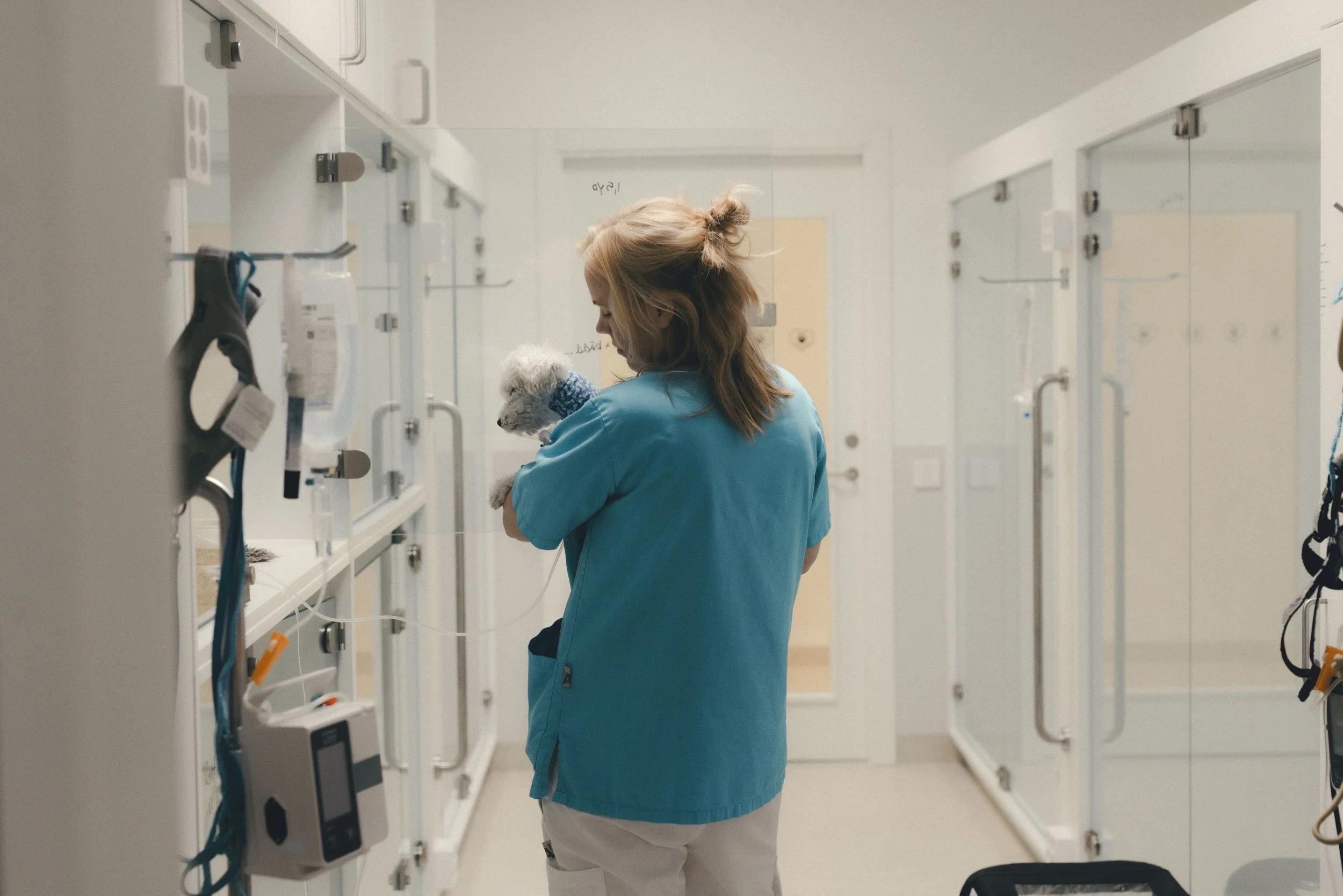 veterinar hemsidan-2.jpg