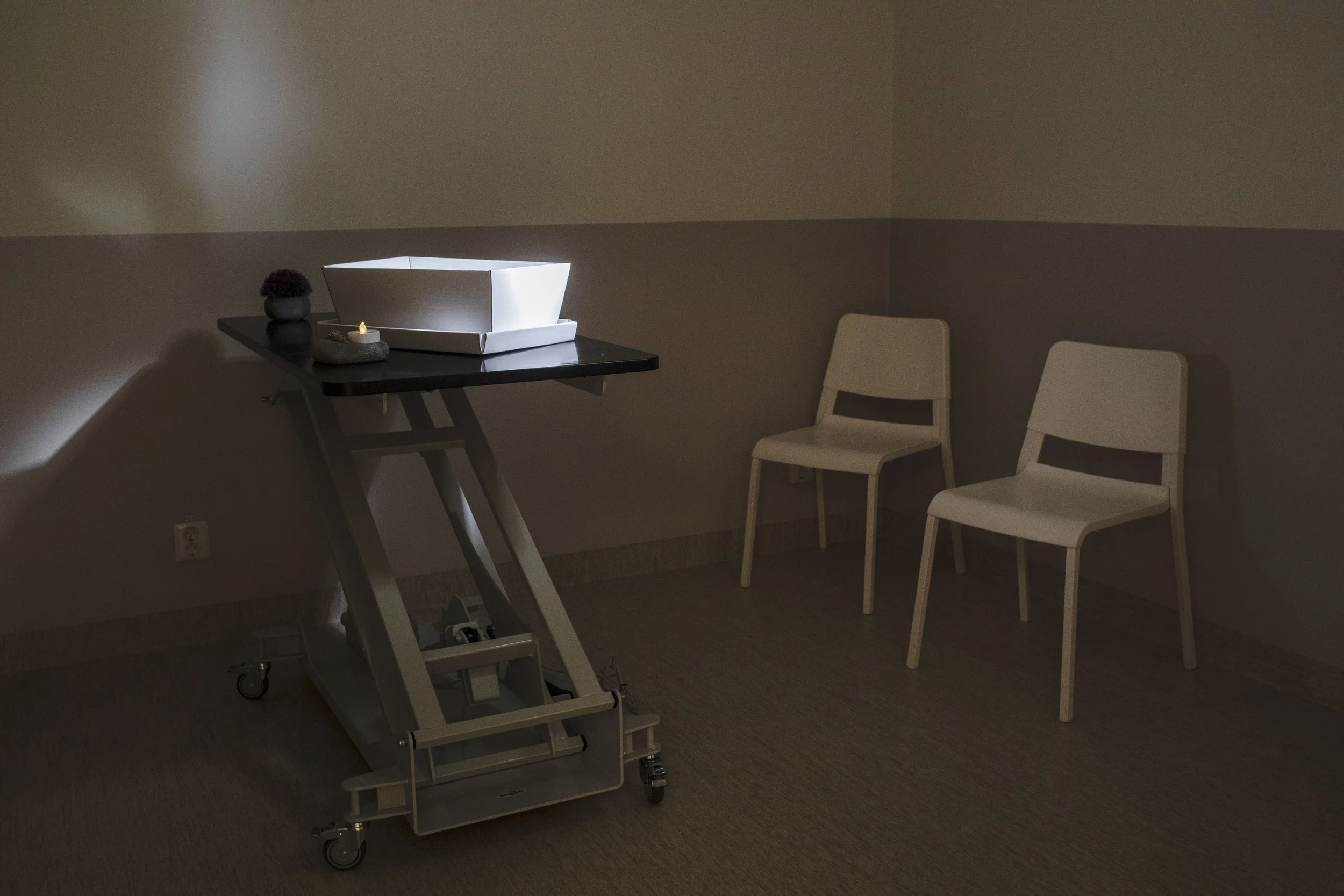 veterinar hemsidan-1.jpg