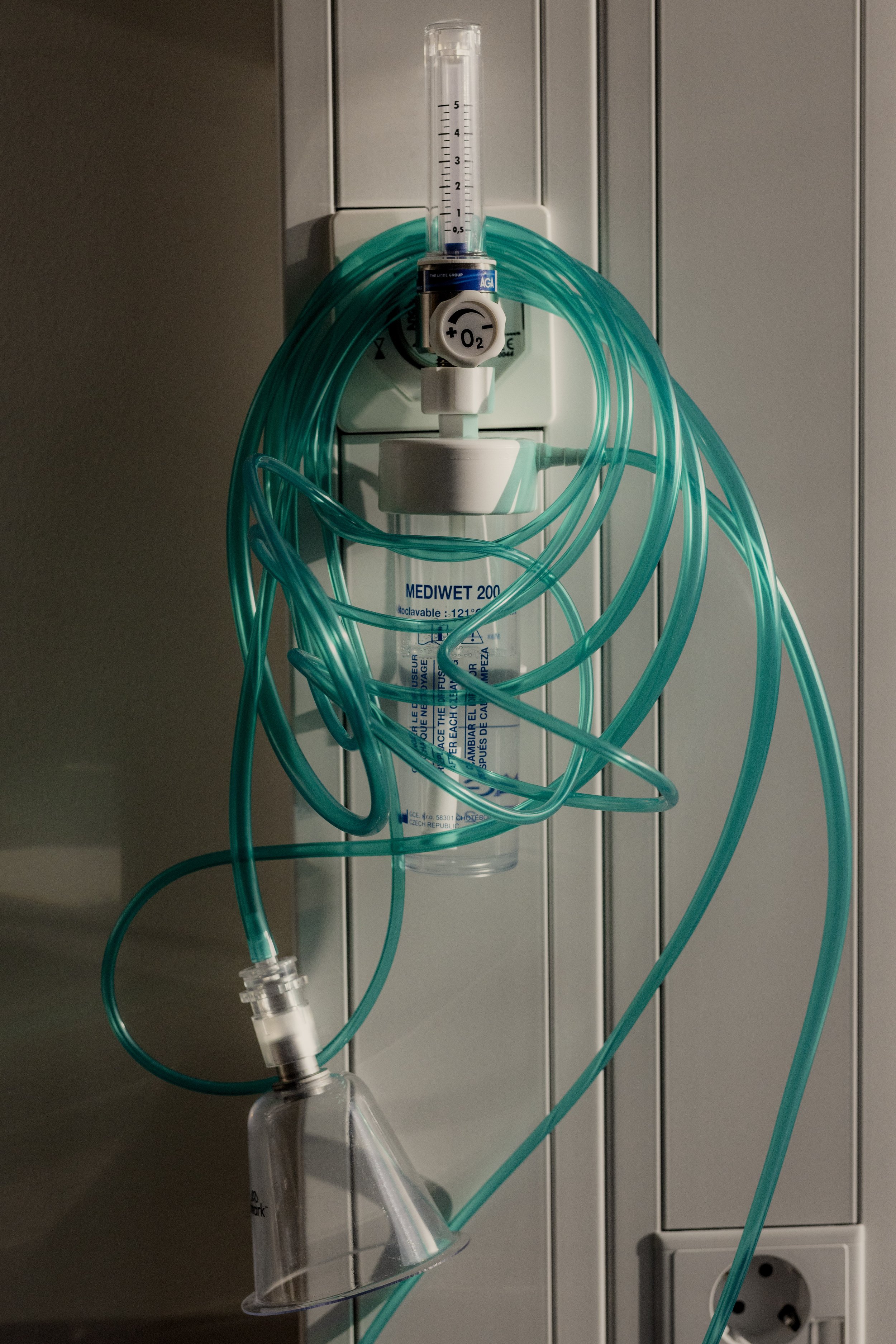 veterinar hemsidan-5.jpg