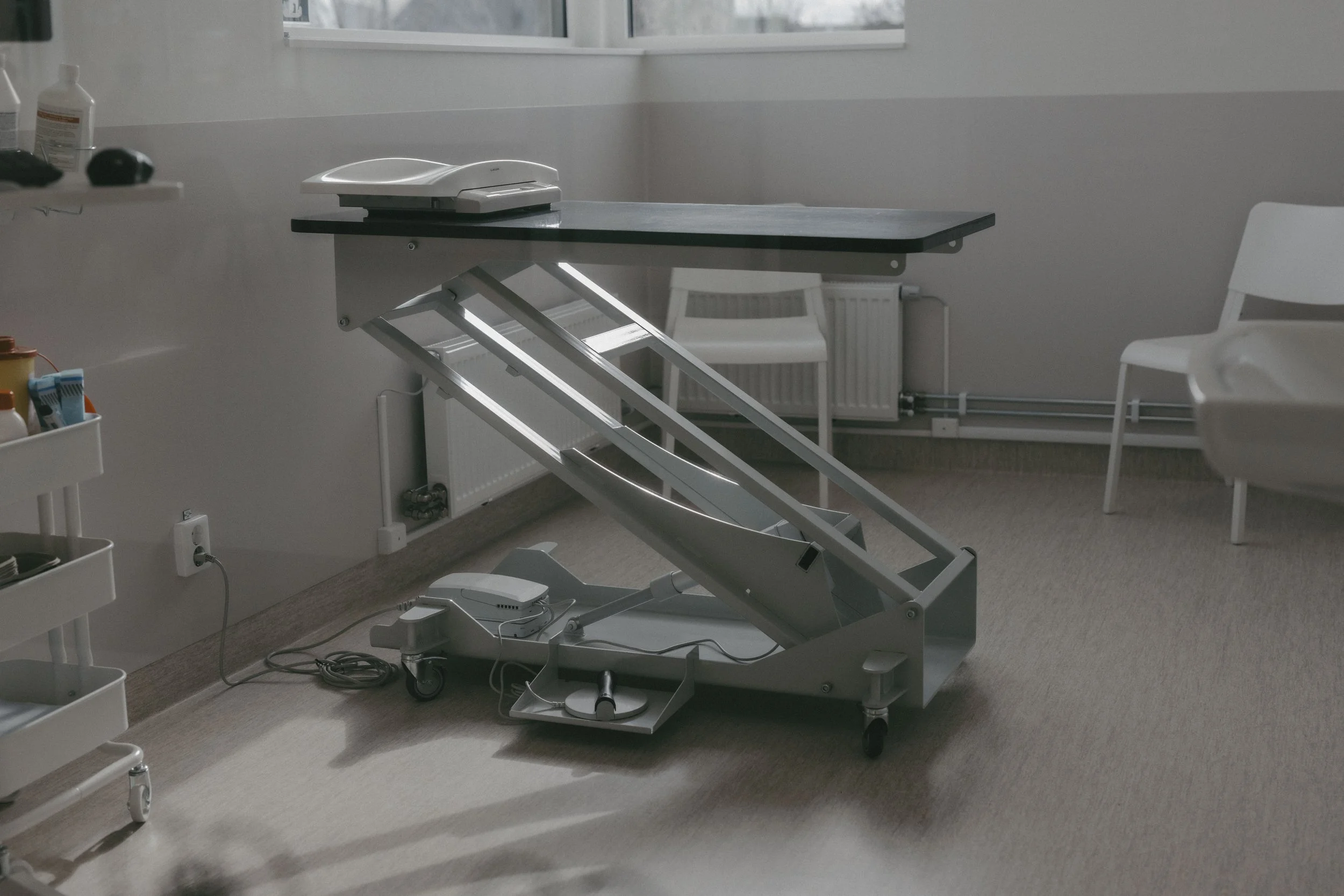 veterinar hemsidan-4.jpg