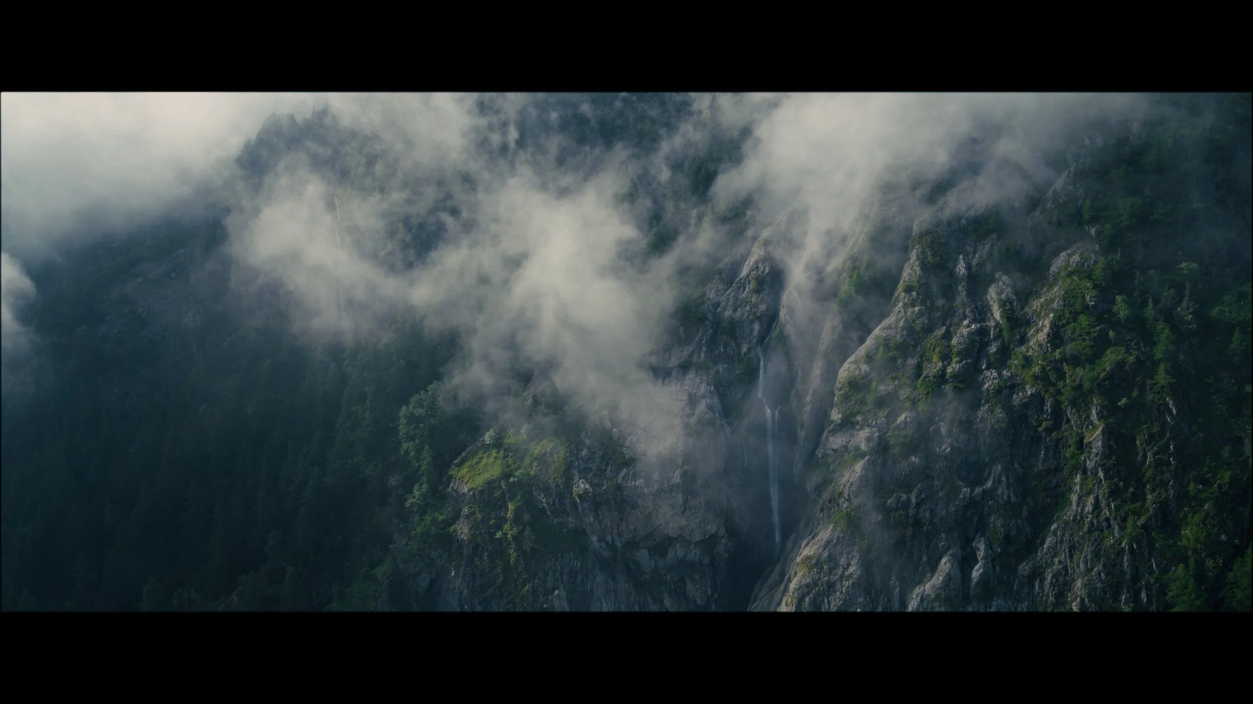 Image 2025-11-25 115445_1.261.1.jpg