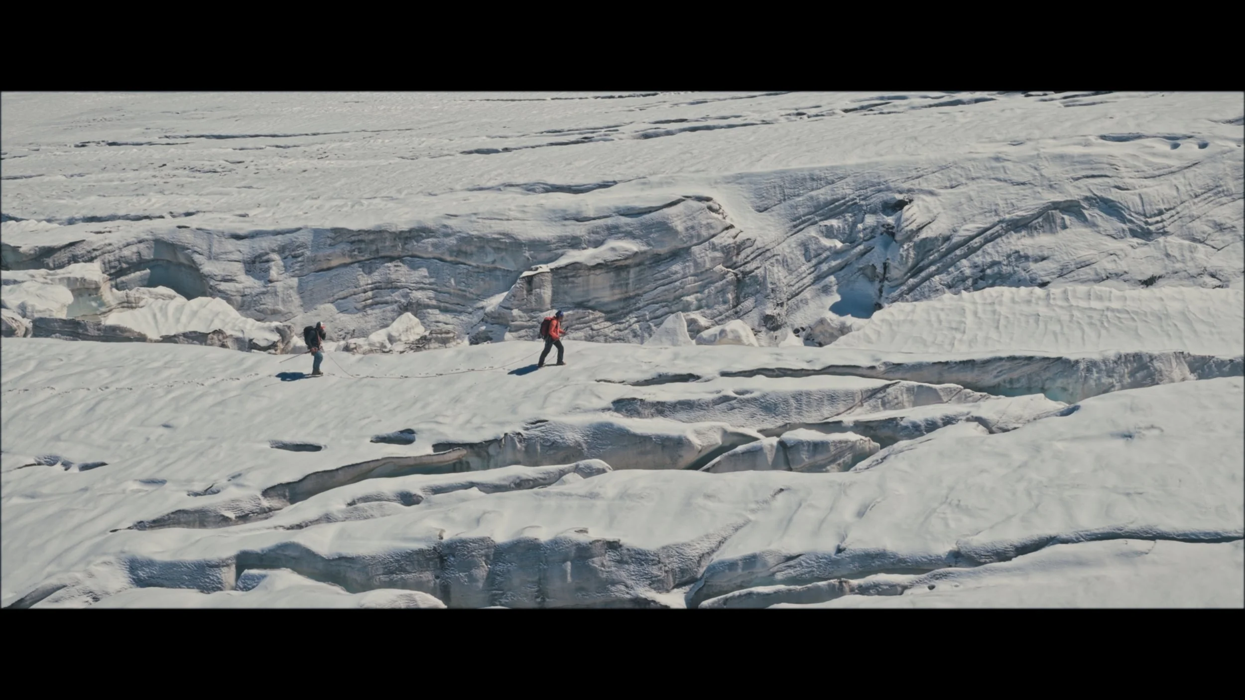 Image 2025-11-25 115445_1.85.1.jpg