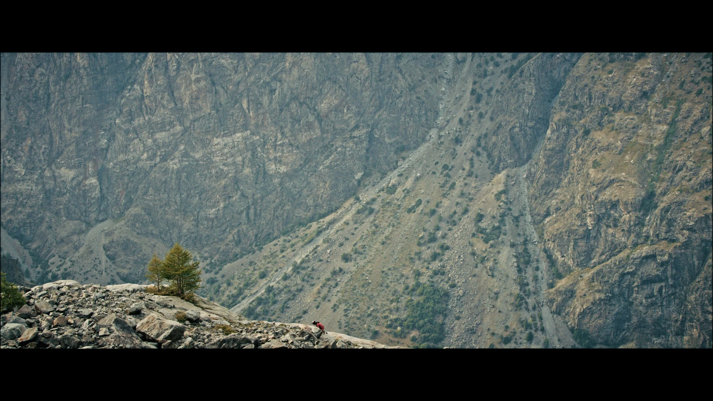 Image 2025-11-25 115445_1.237.1.jpg