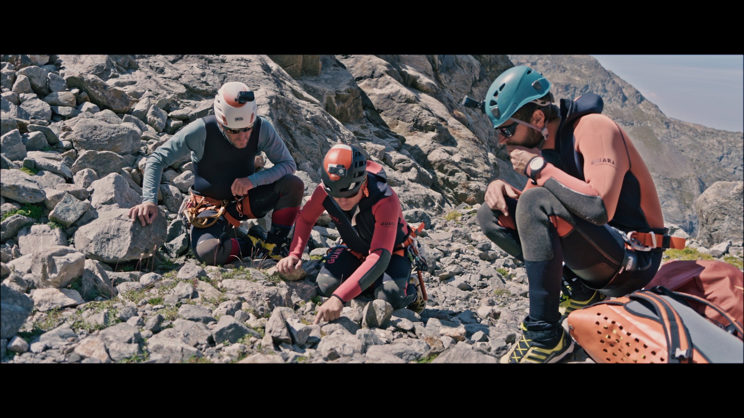 Image 2025-11-25 115445_1.198.1.jpg