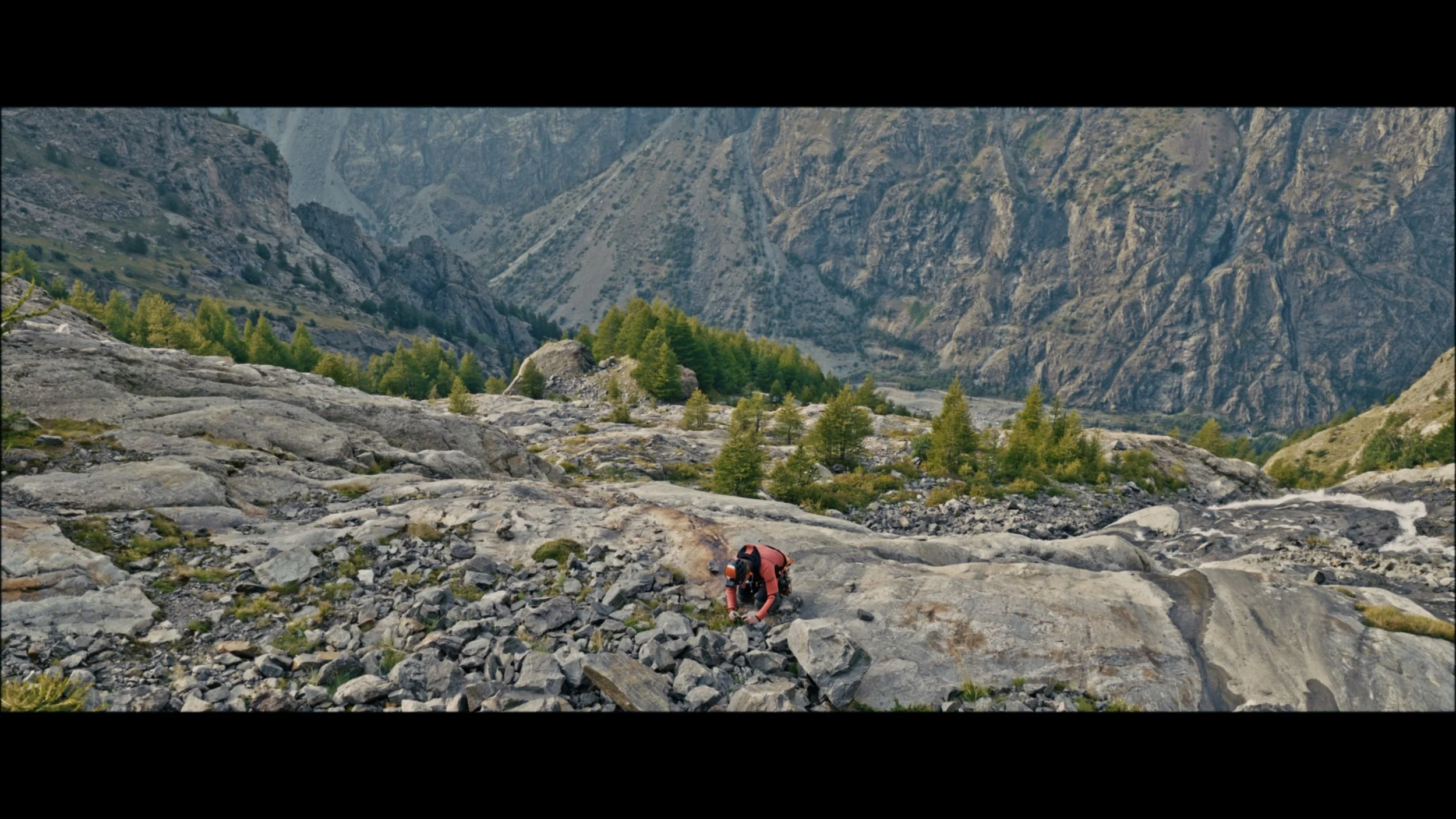 Image 2025-11-25 115445_1.234.1.jpg