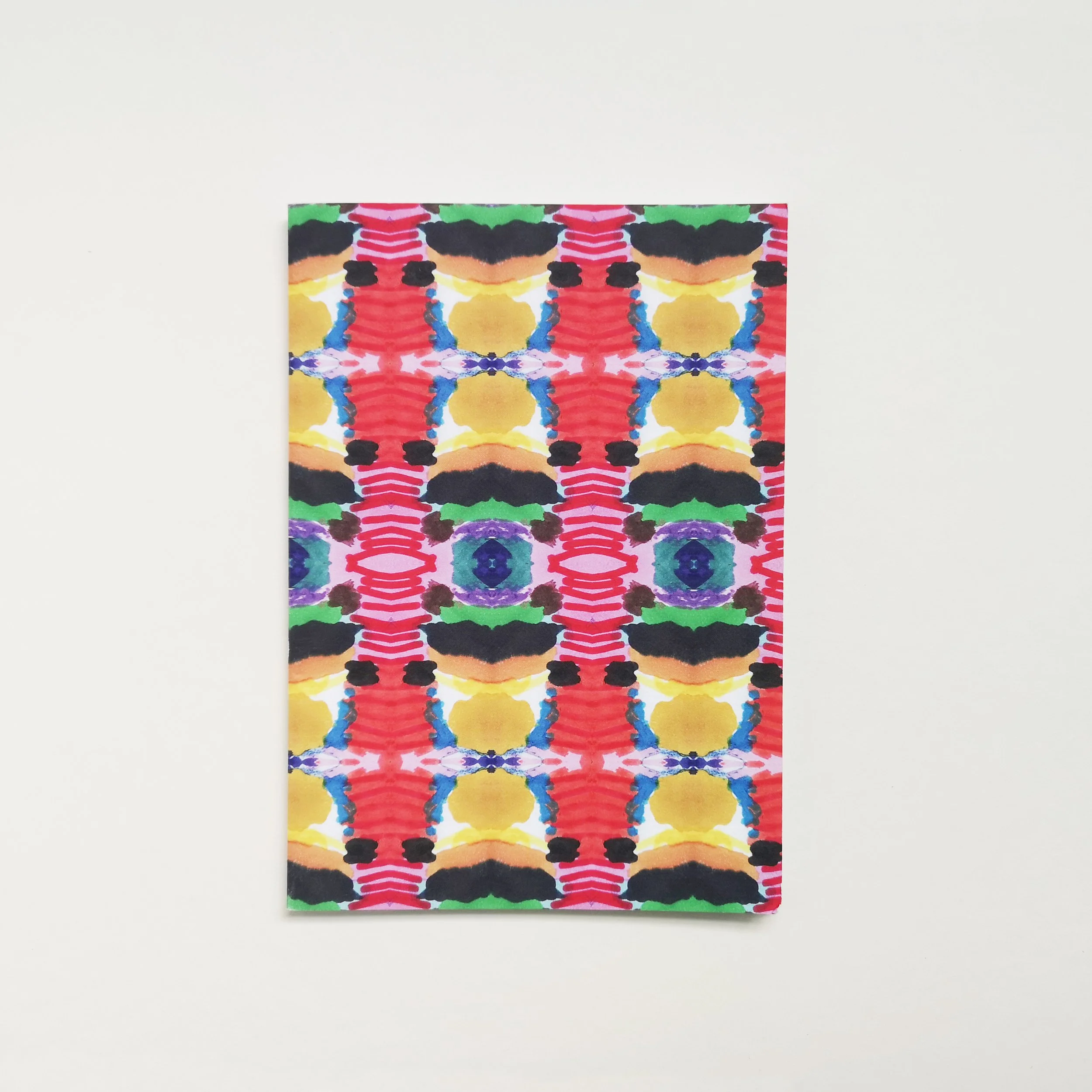 Ioana winter notebook SteppingStones copy.jpg