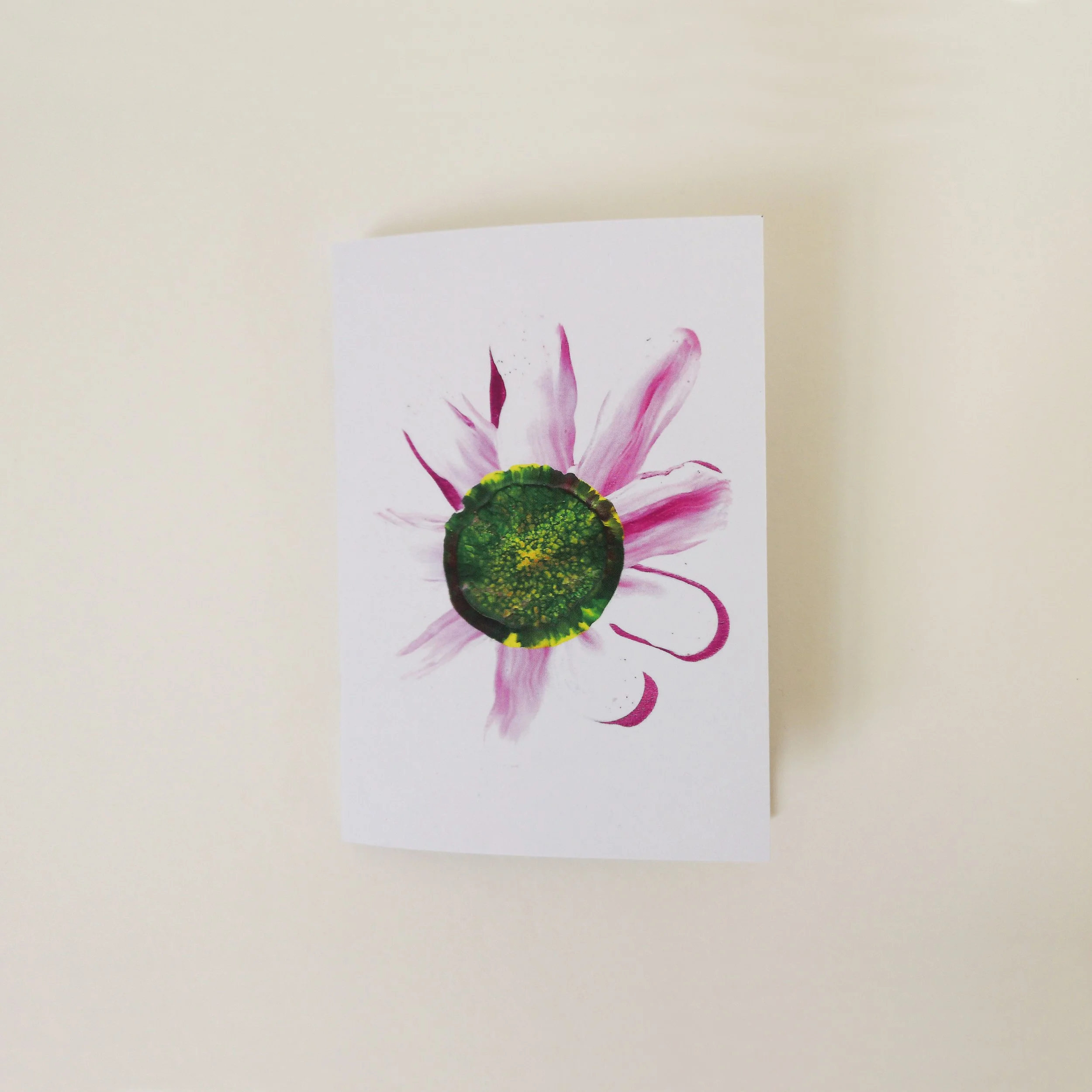 SteppingStones SN-D01 copy.jpg