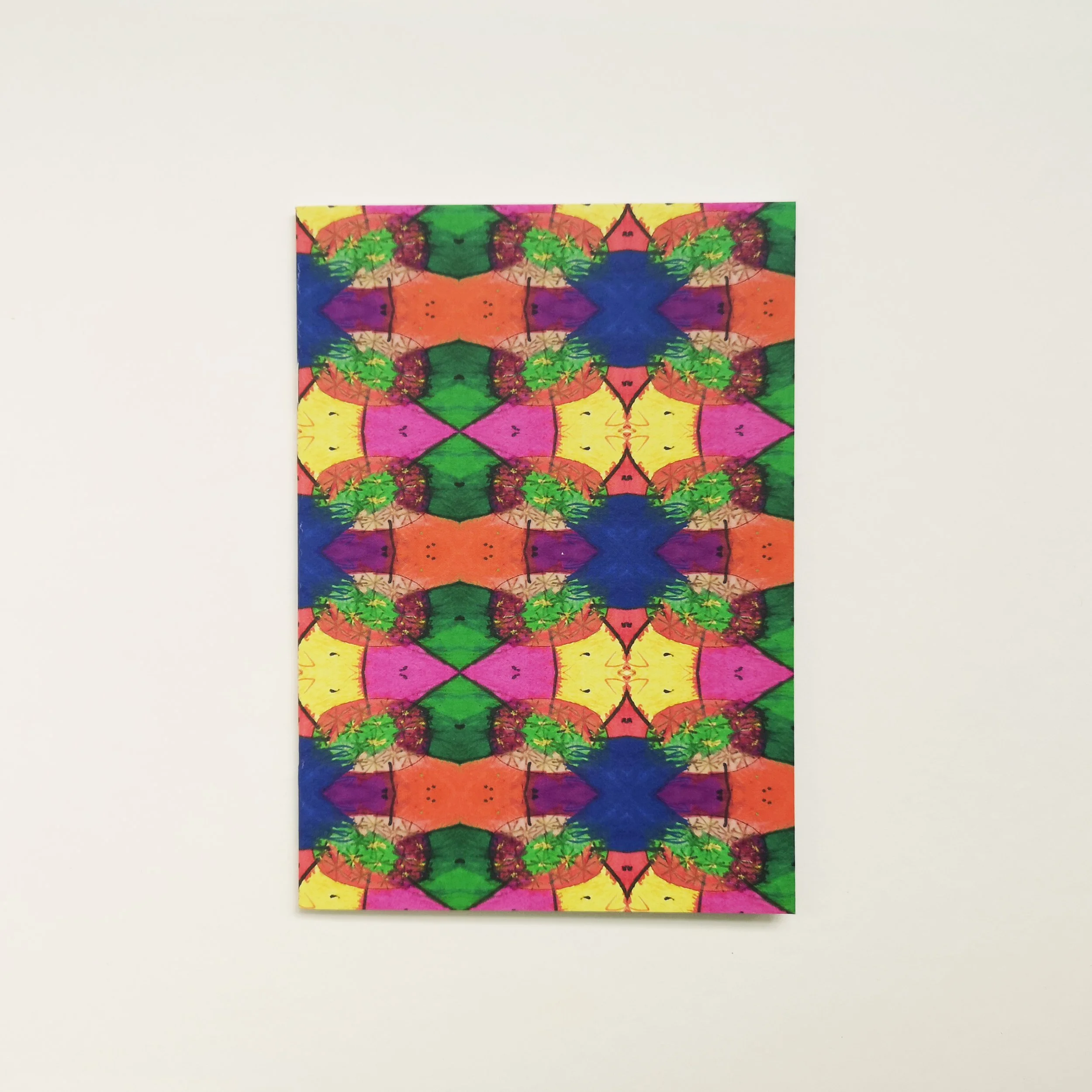 Jethro winter notebook SteppingStones copy.jpg