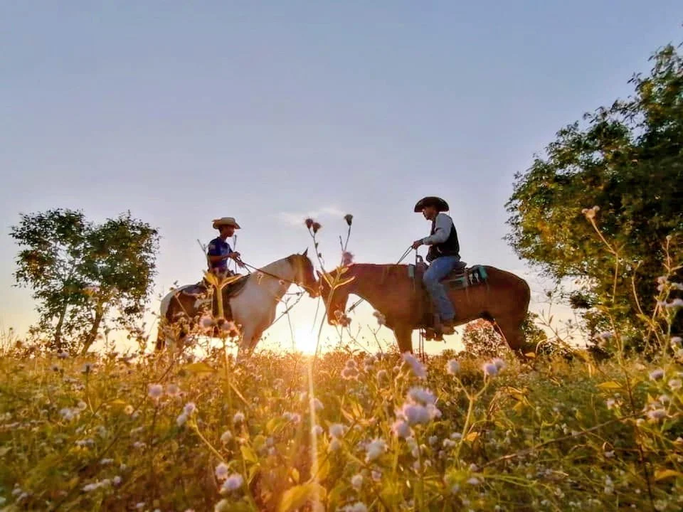 Isan Golf & Adventure Hotel horse riding lessons and scenic horseback tours in Thailand