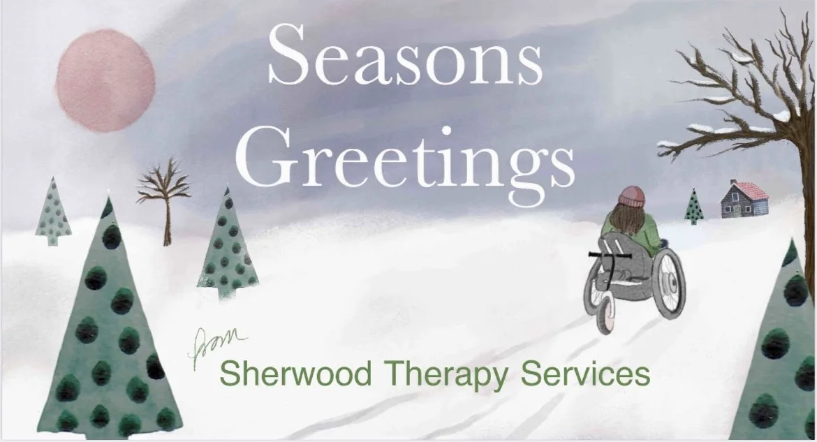 Snow scene with woman in a wheelchair