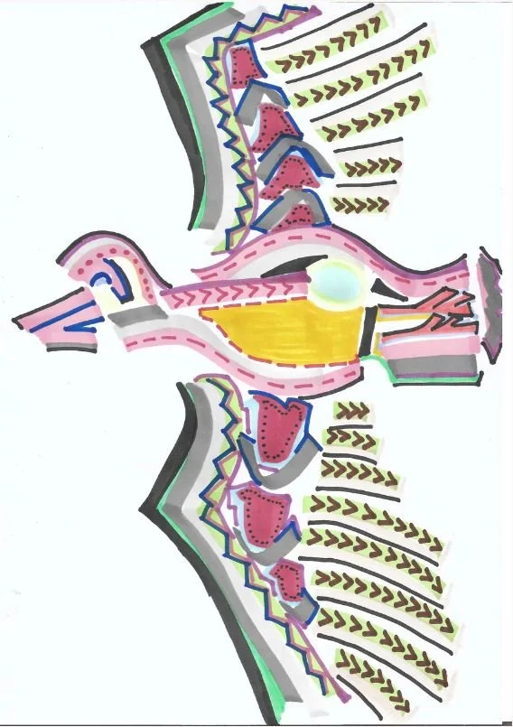 The Prophecy of the Eagle and the Condor