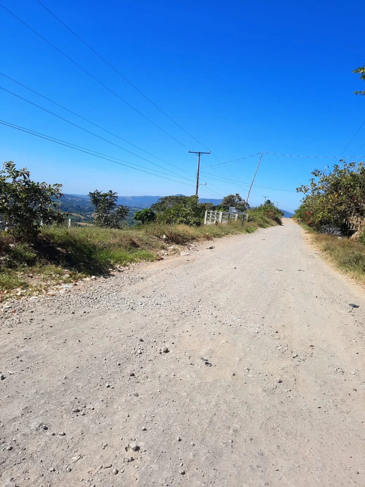 Secluded dirt road surrounded by lush tropical forest, leading to remote ancestral cacao farms hidden deep in El Salvador countryside.