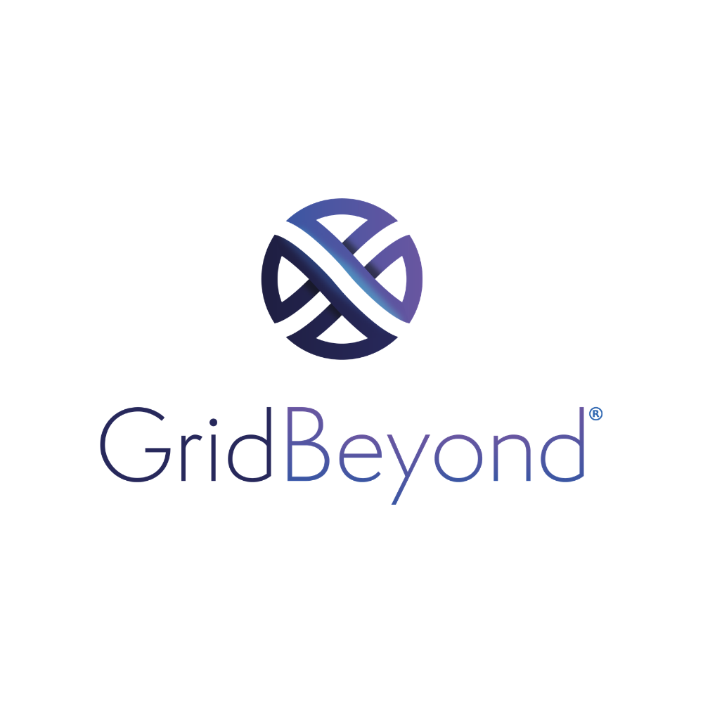 Grid Beyond